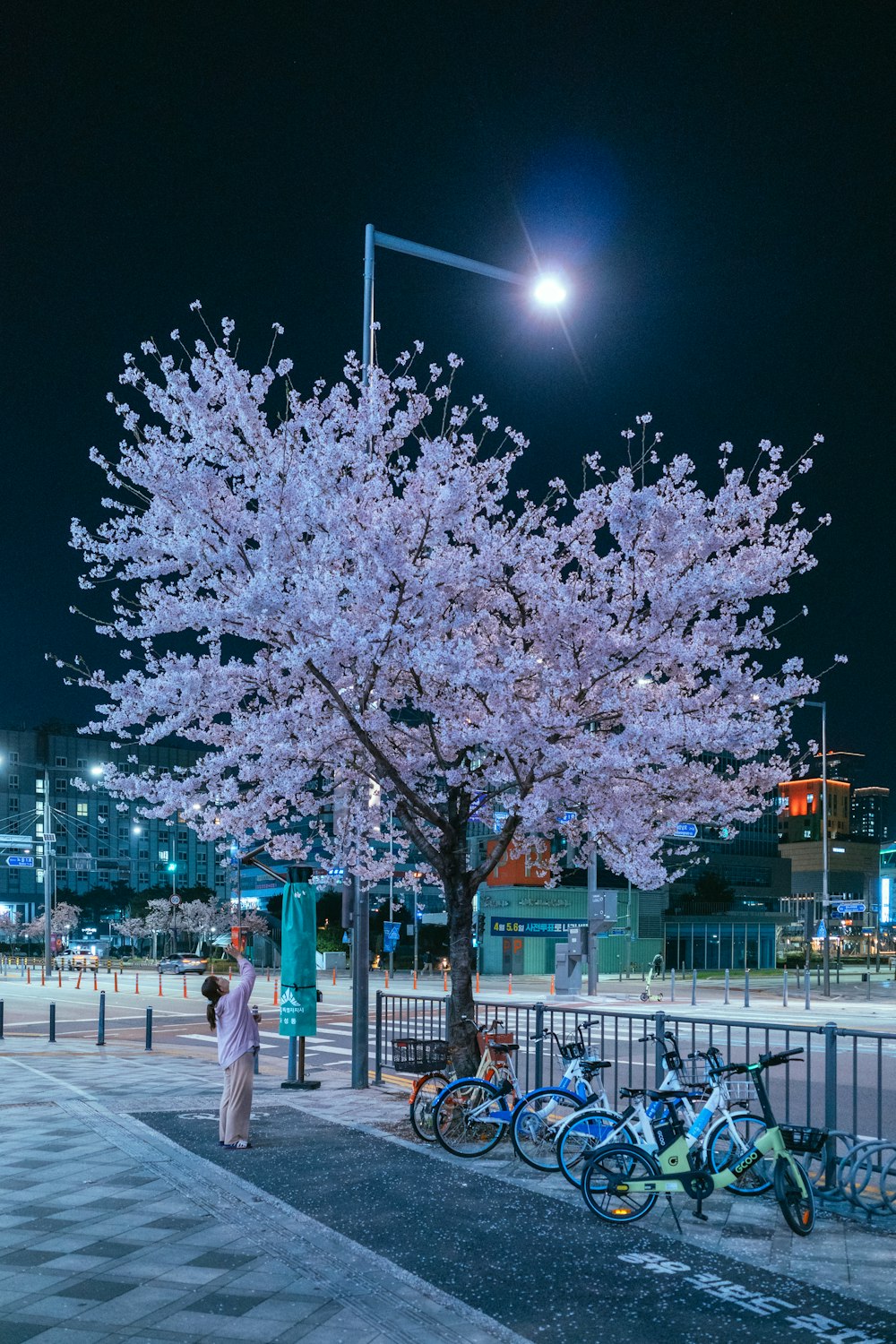 a woman standing next to a tree with pink flowers