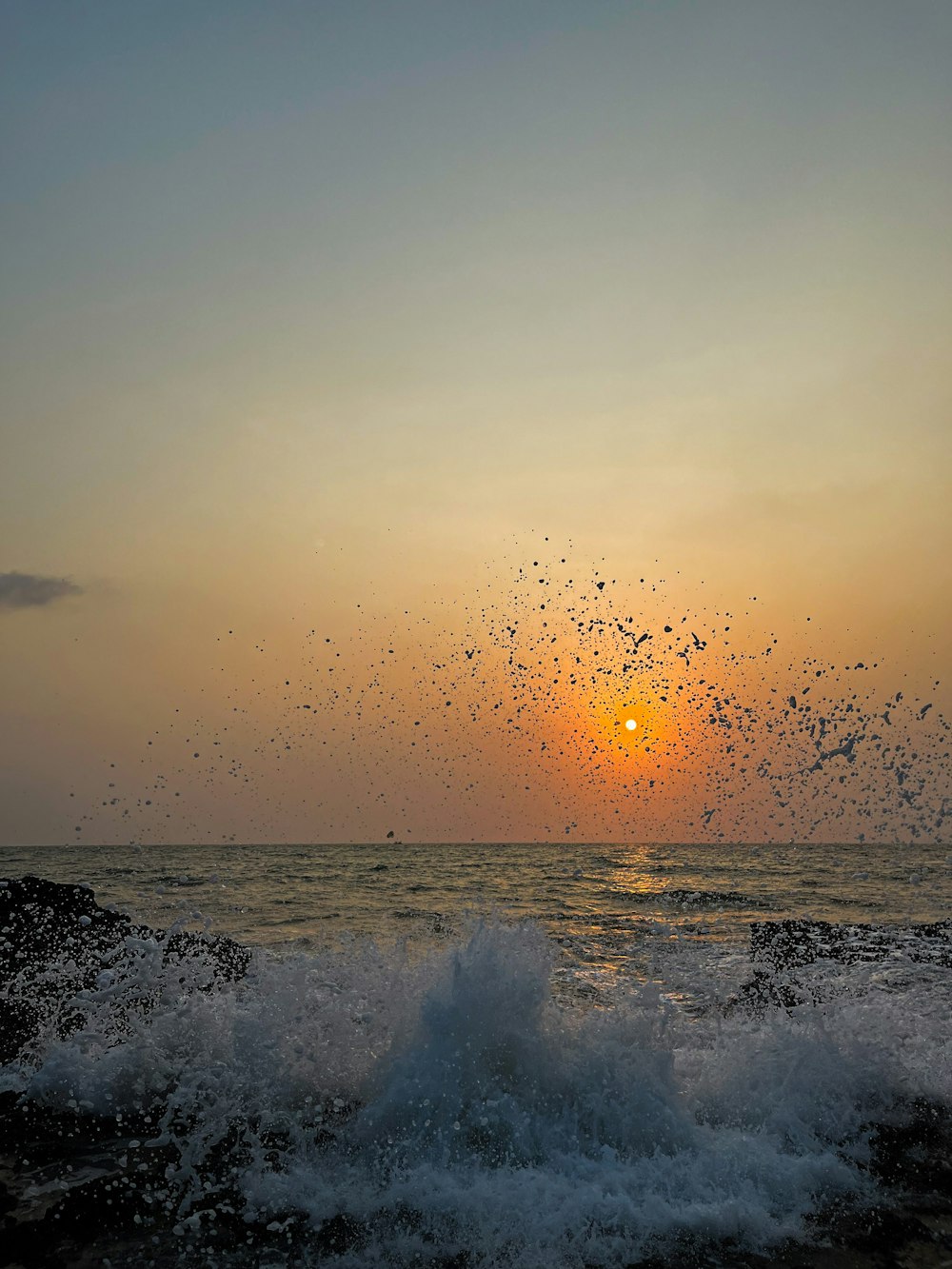 the sun is setting over the ocean with birds flying in the sky