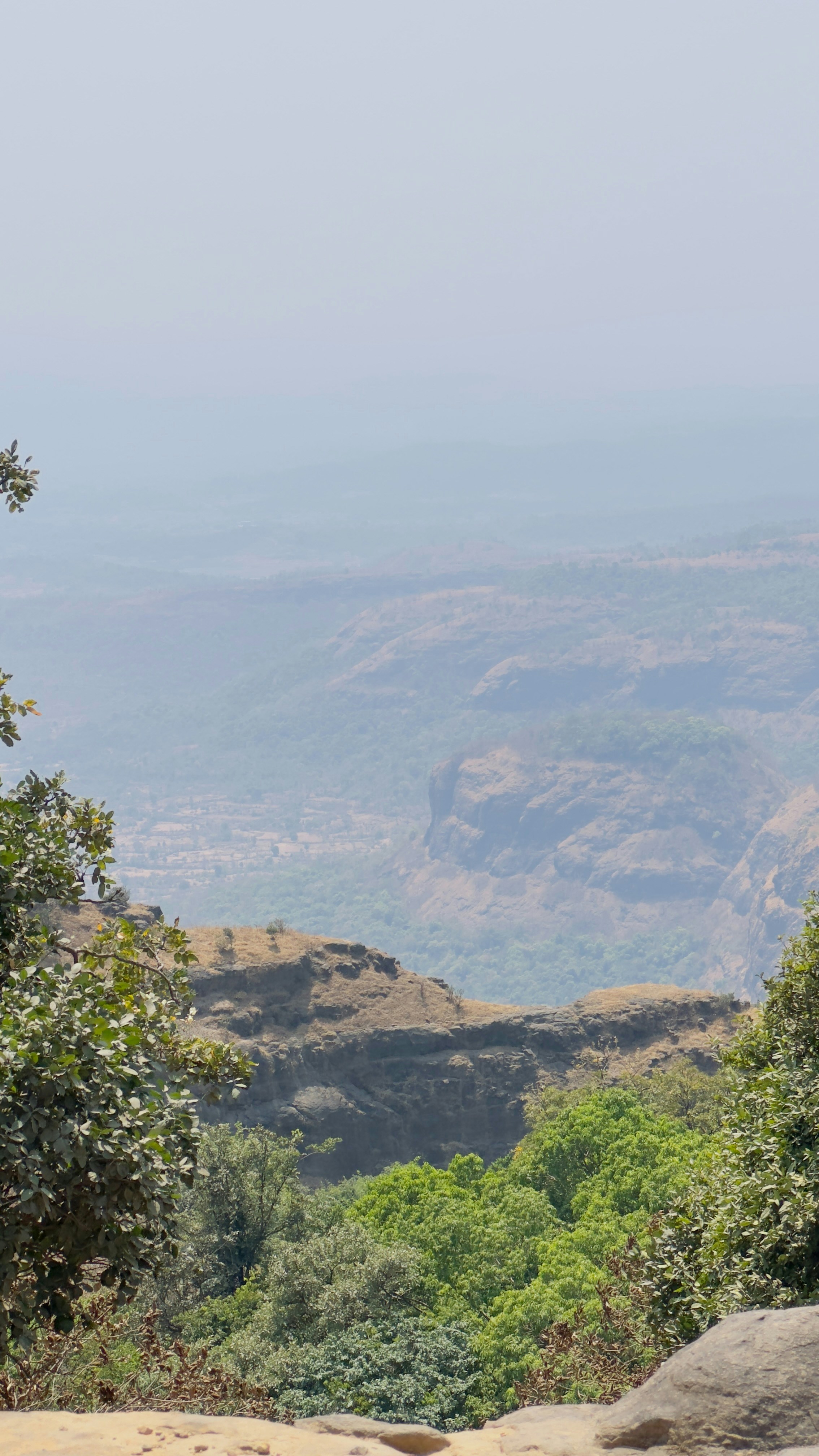 Photo by vikashsparxit