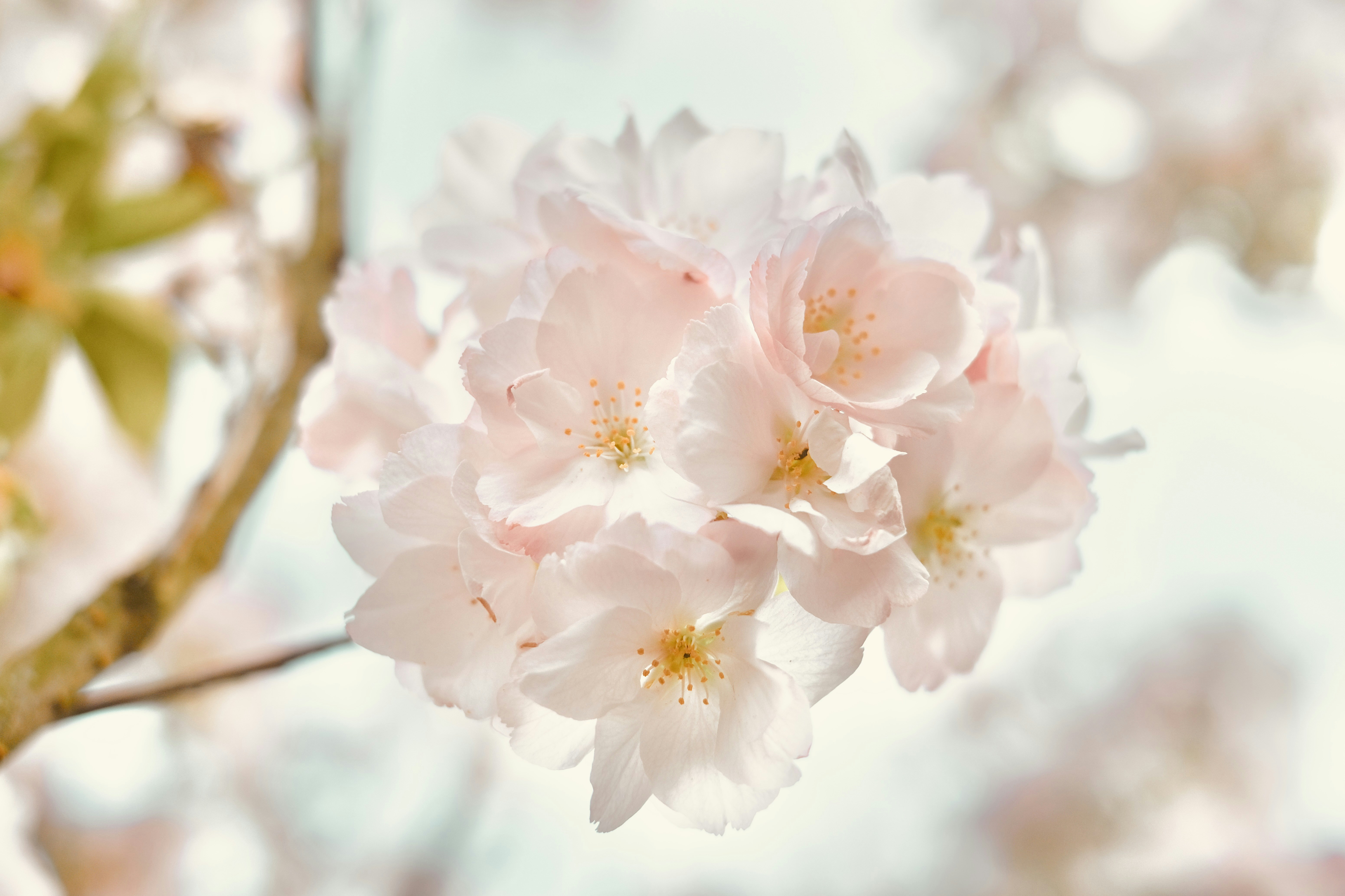 Photo by mkrawczynski