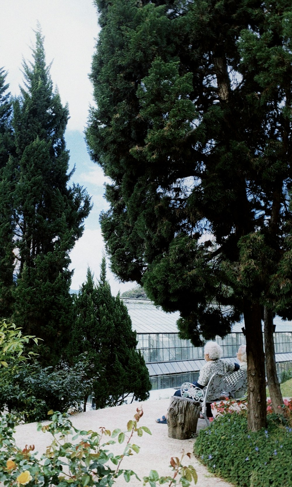 a person sitting on a bench under a tree