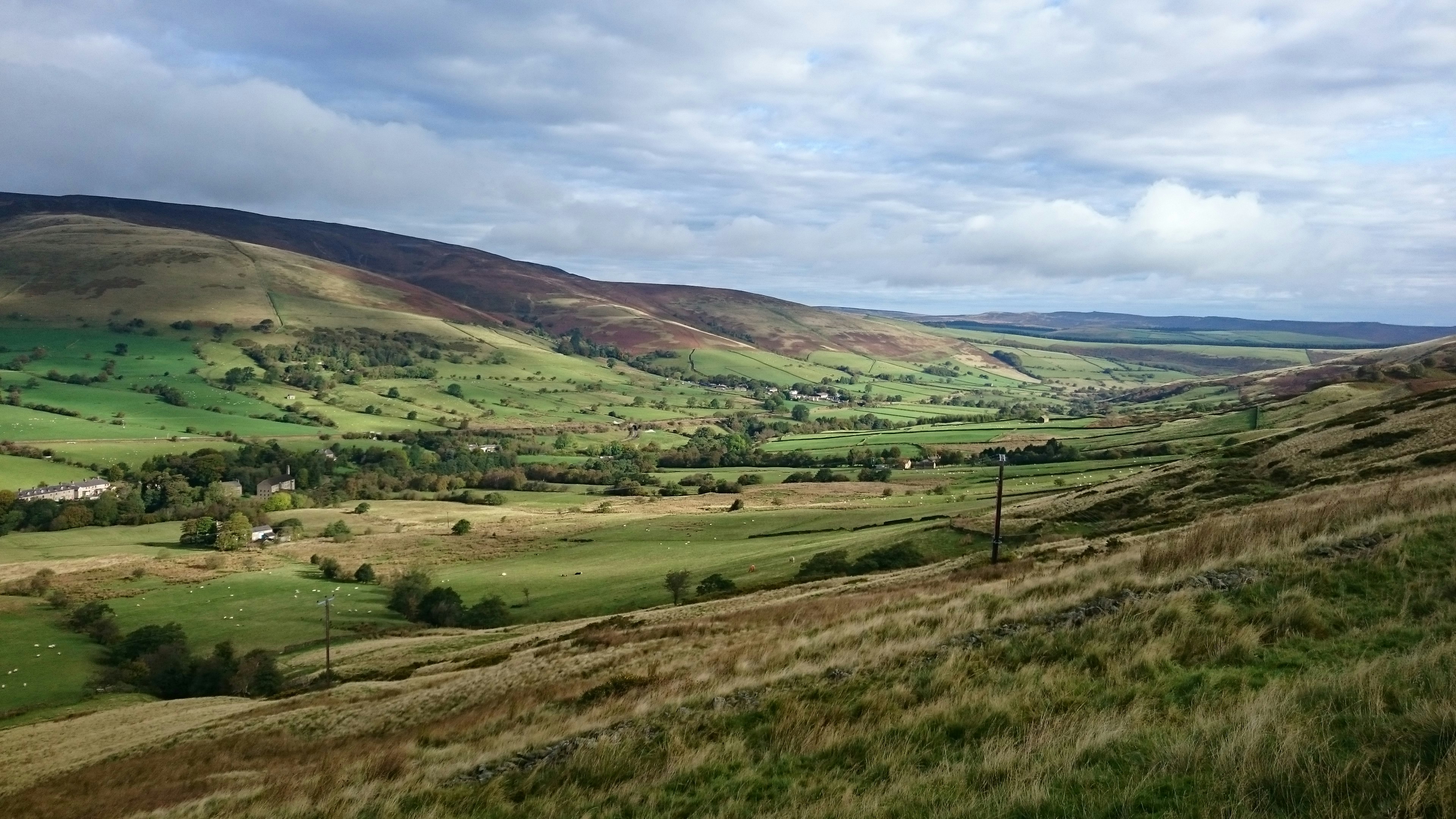 Photo by harryatforward