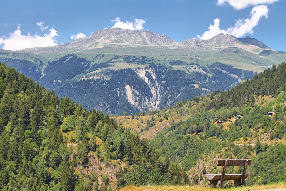 a wooden bench sitting on top of a lush green hillside