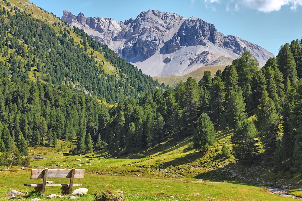 a bench in the middle of a field with mountains in the background