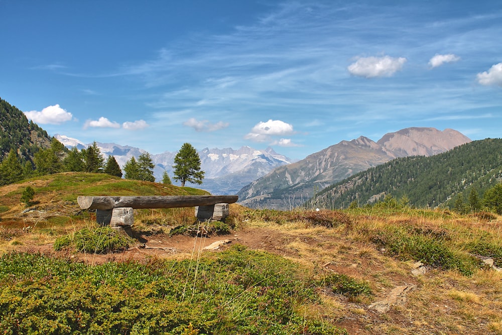 a bench sitting on top of a lush green hillside