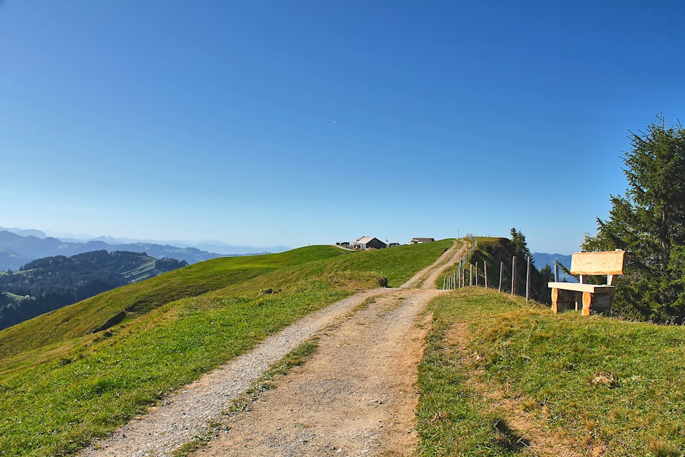 a wooden bench sitting on top of a lush green hillside