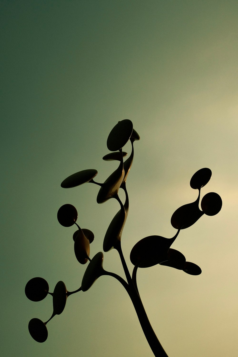 the silhouette of a plant against a blue sky