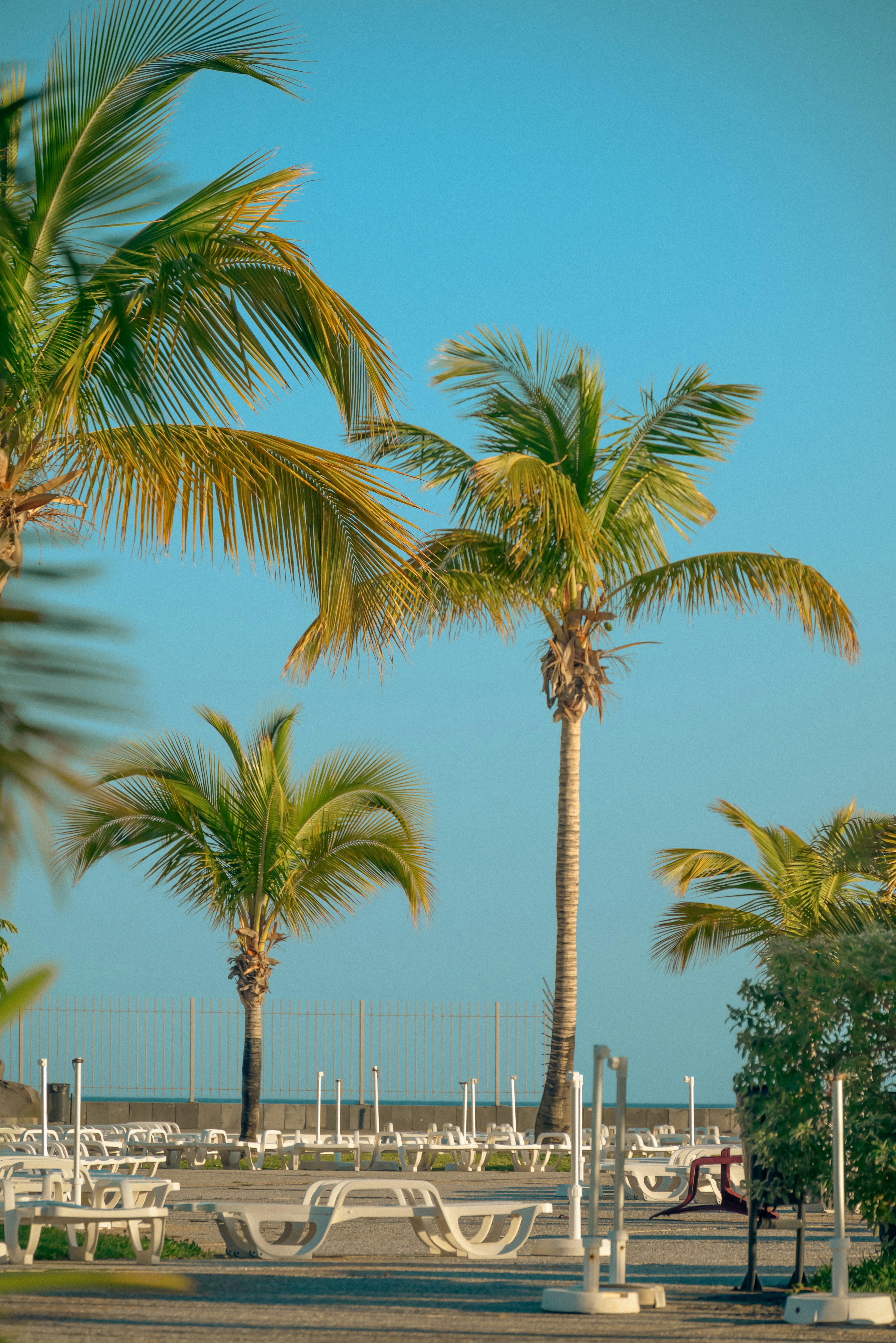 Photo by agataciosek