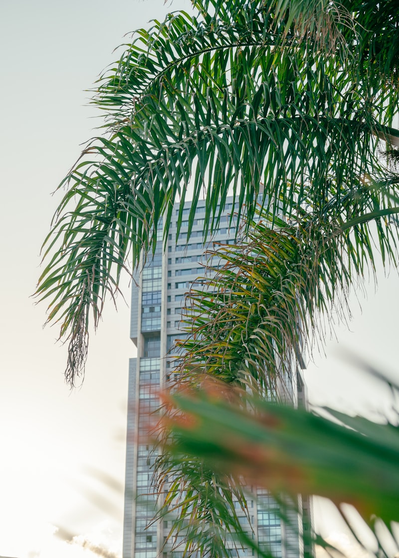 un edificio alto con una palmera frente a él