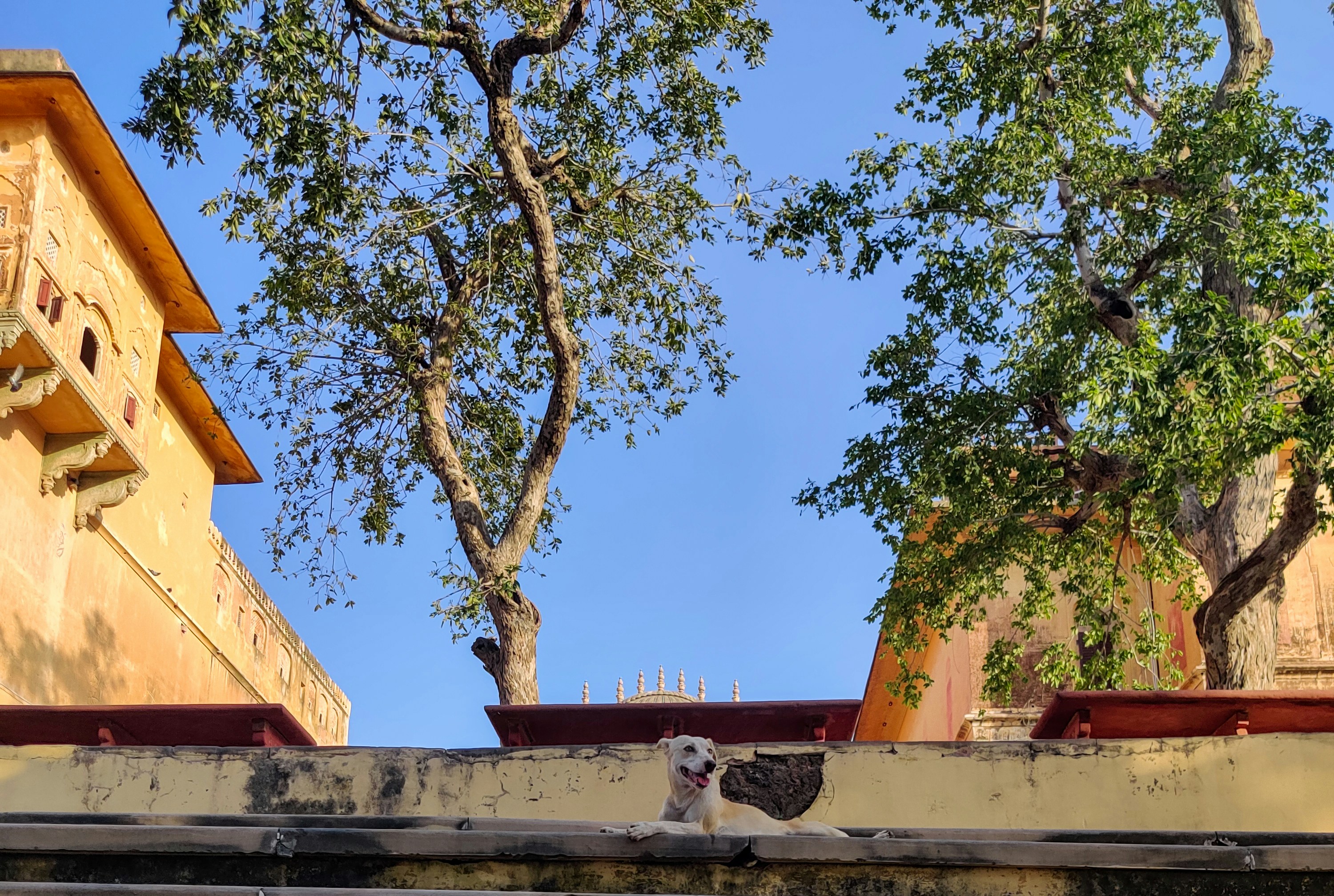 Desert palace interior