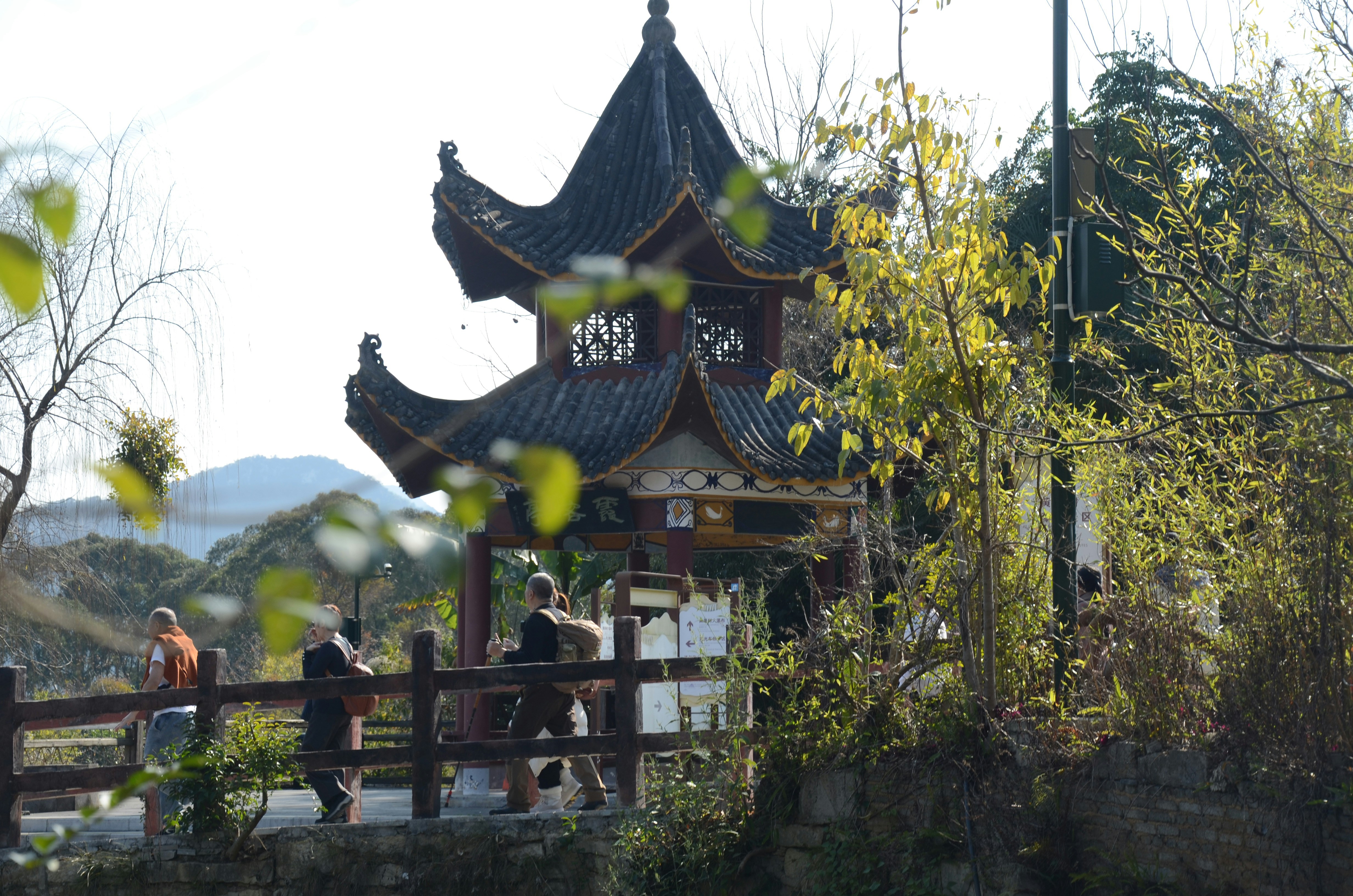 Photo by xunzihao