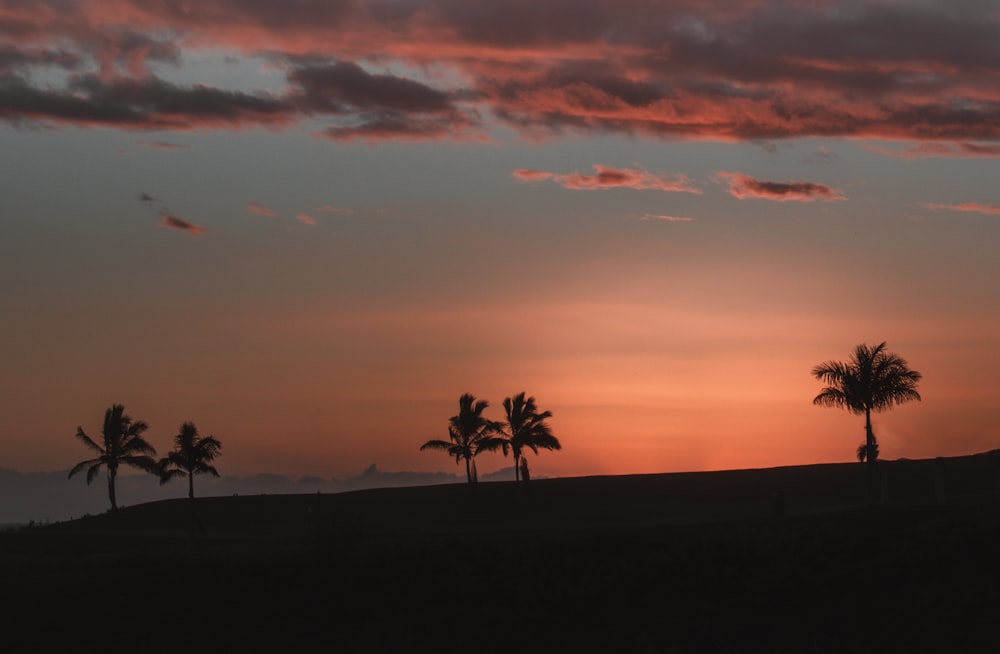 a sunset with palm trees in the foreground