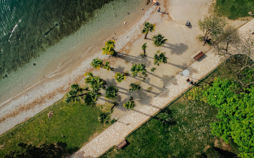 an aerial view of a sandy beach with palm trees