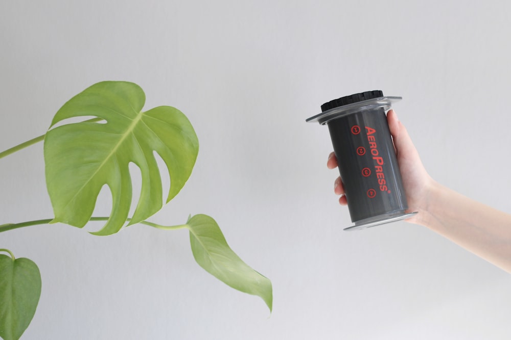 a hand holding a coffee cup next to a plant