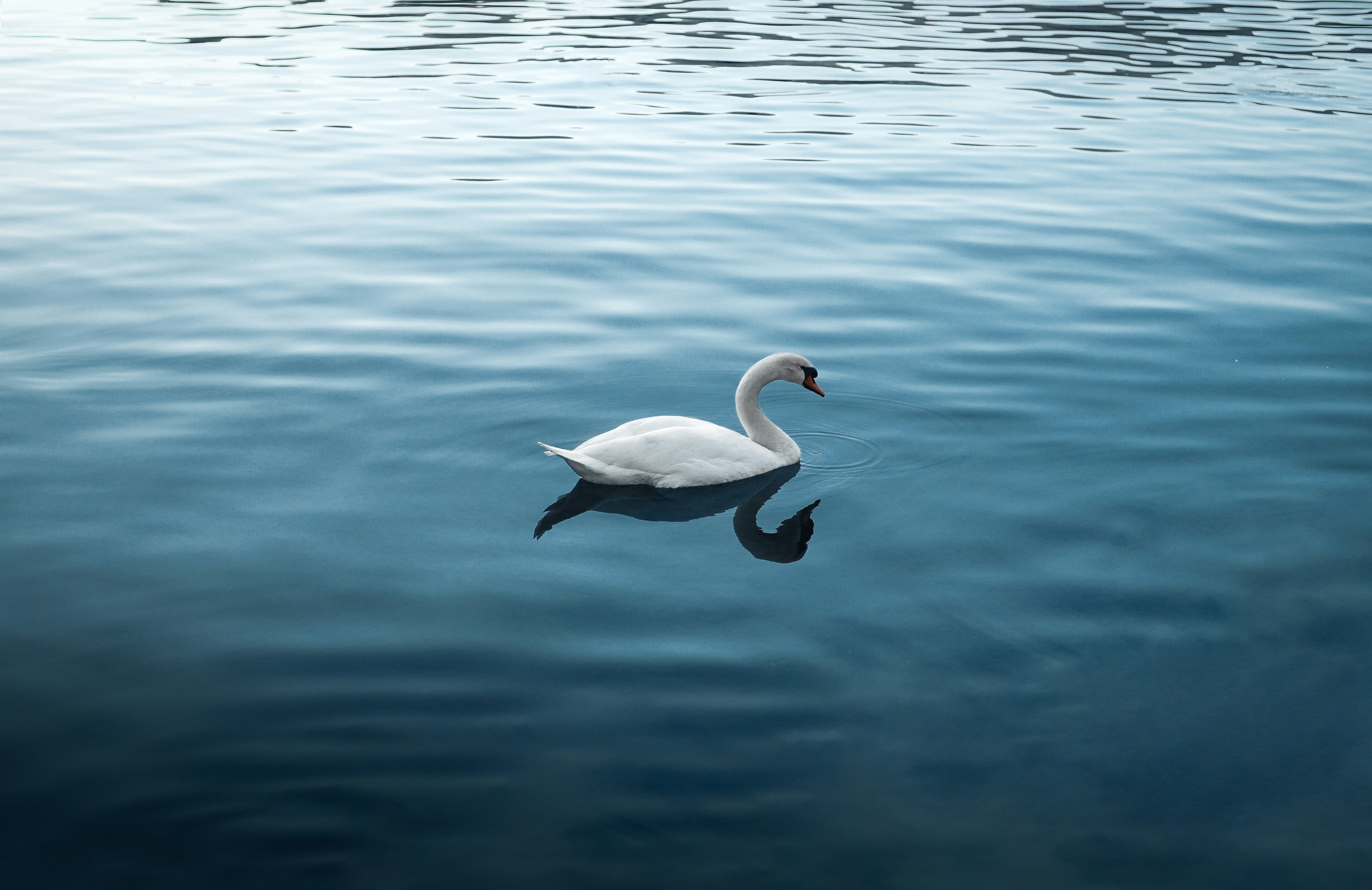 Photo by valentinapaschetto