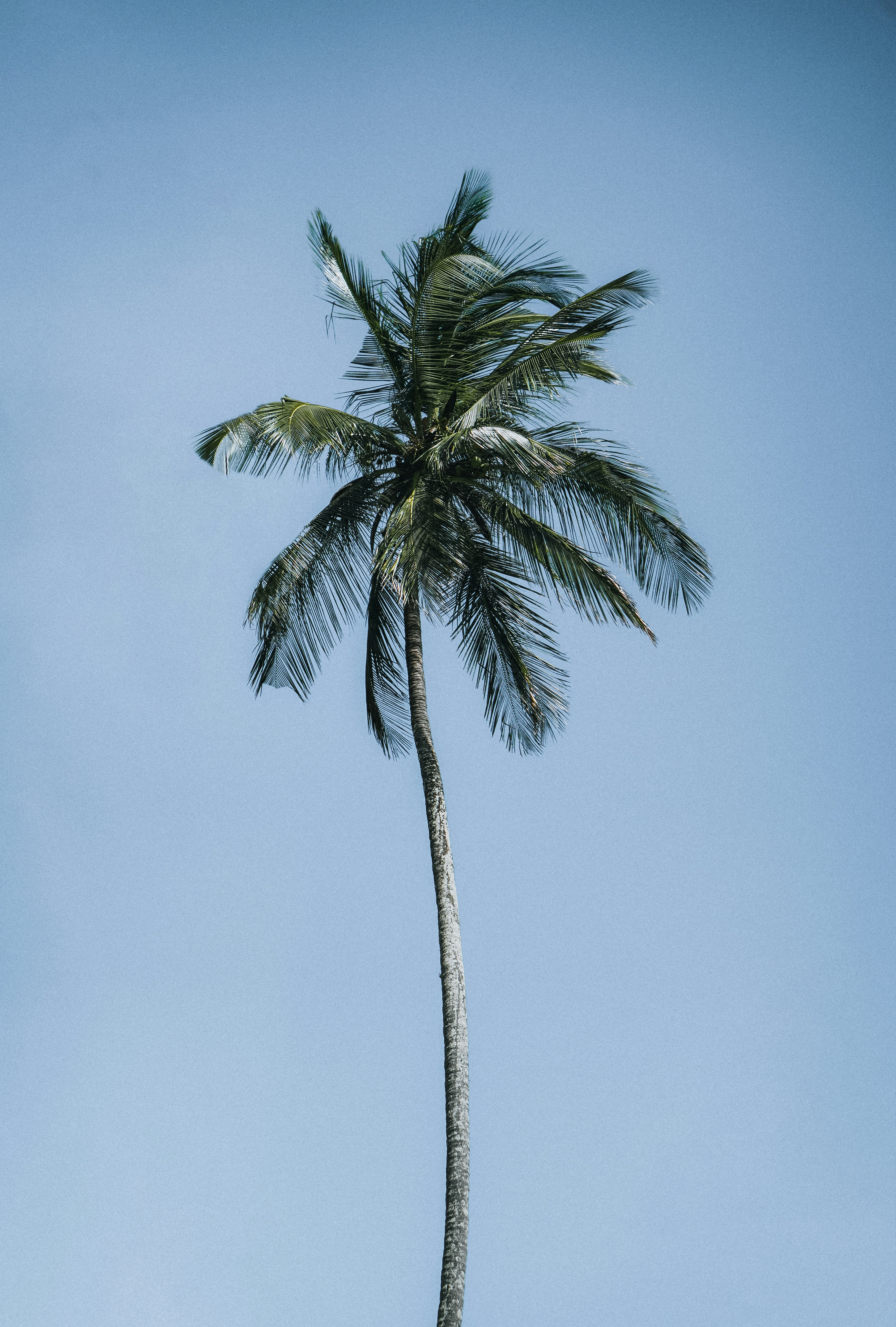 Photo by valentinapaschetto