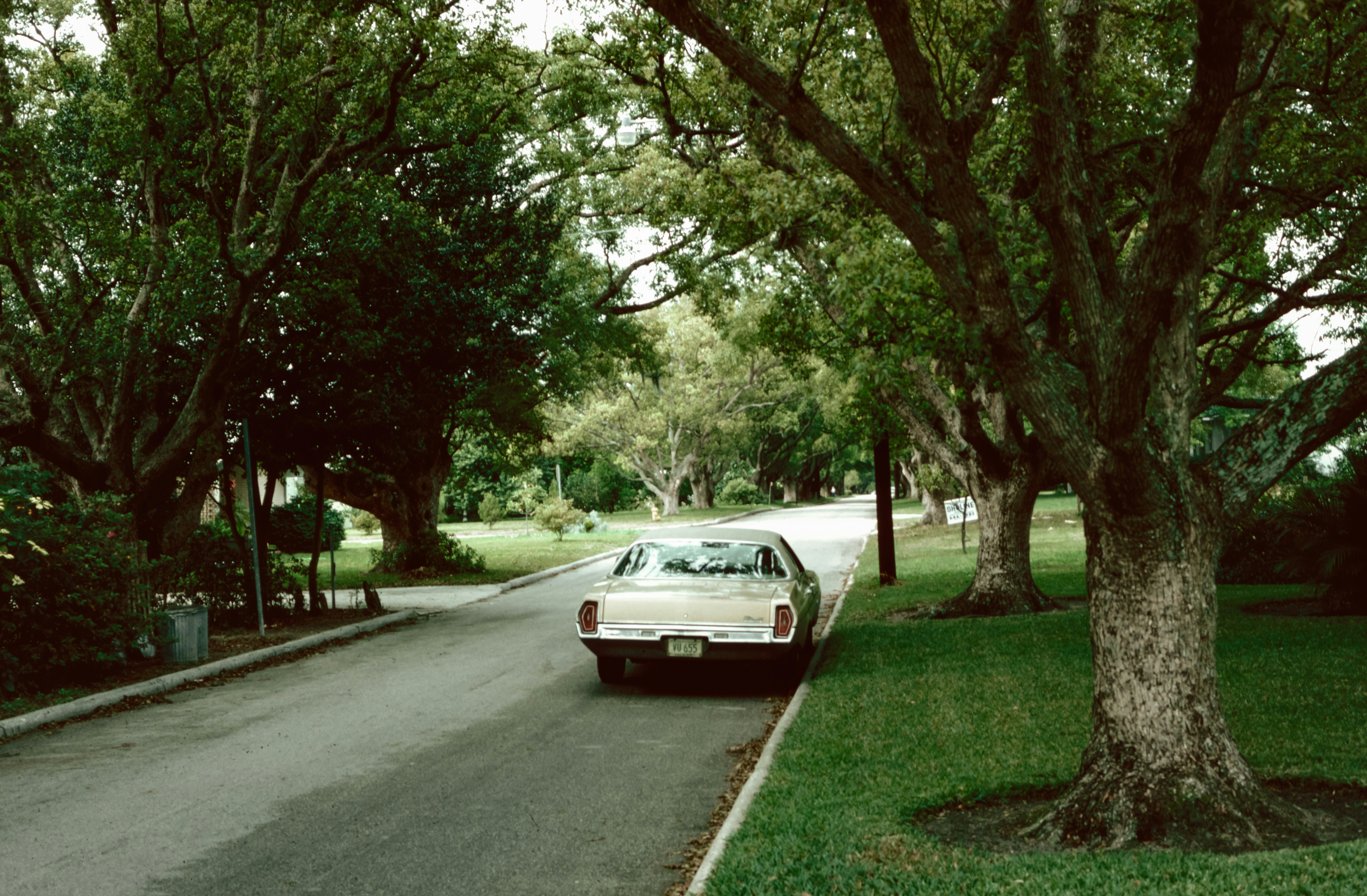 Photo by anniespratt