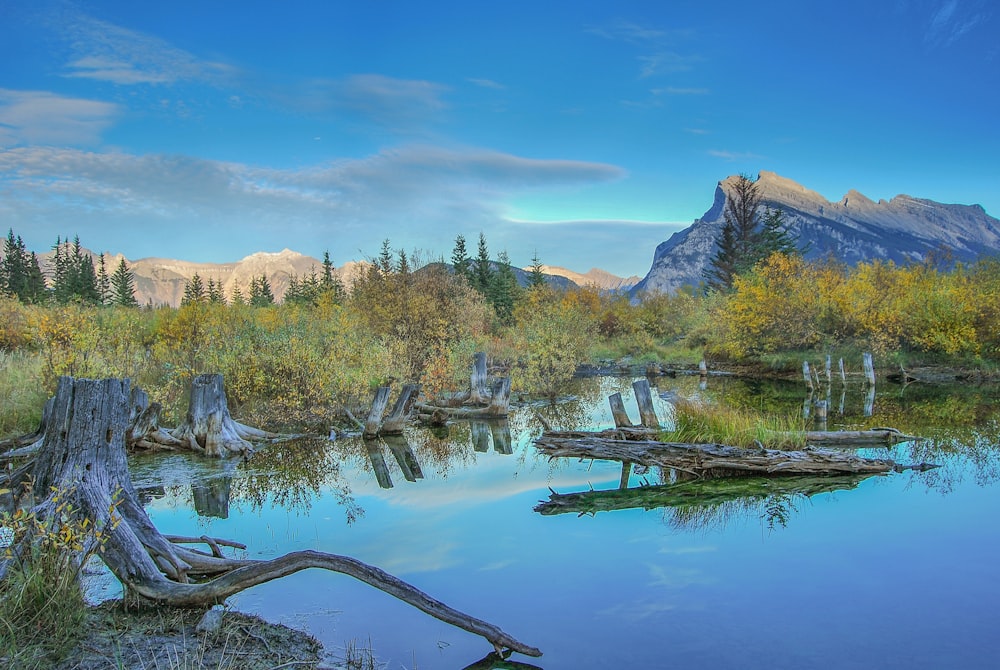 a lake surrounded by trees with mountains in the background