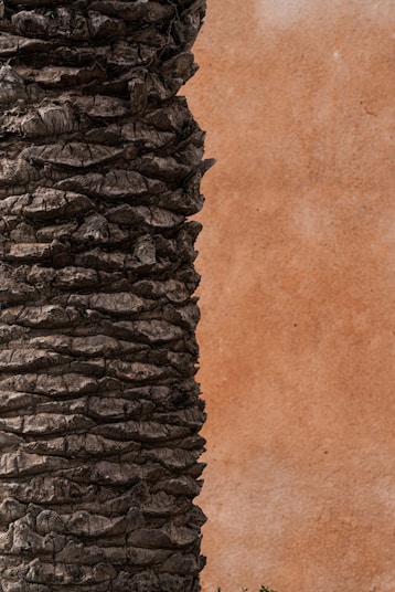 a close up of an elephant's trunk with a wall in the background