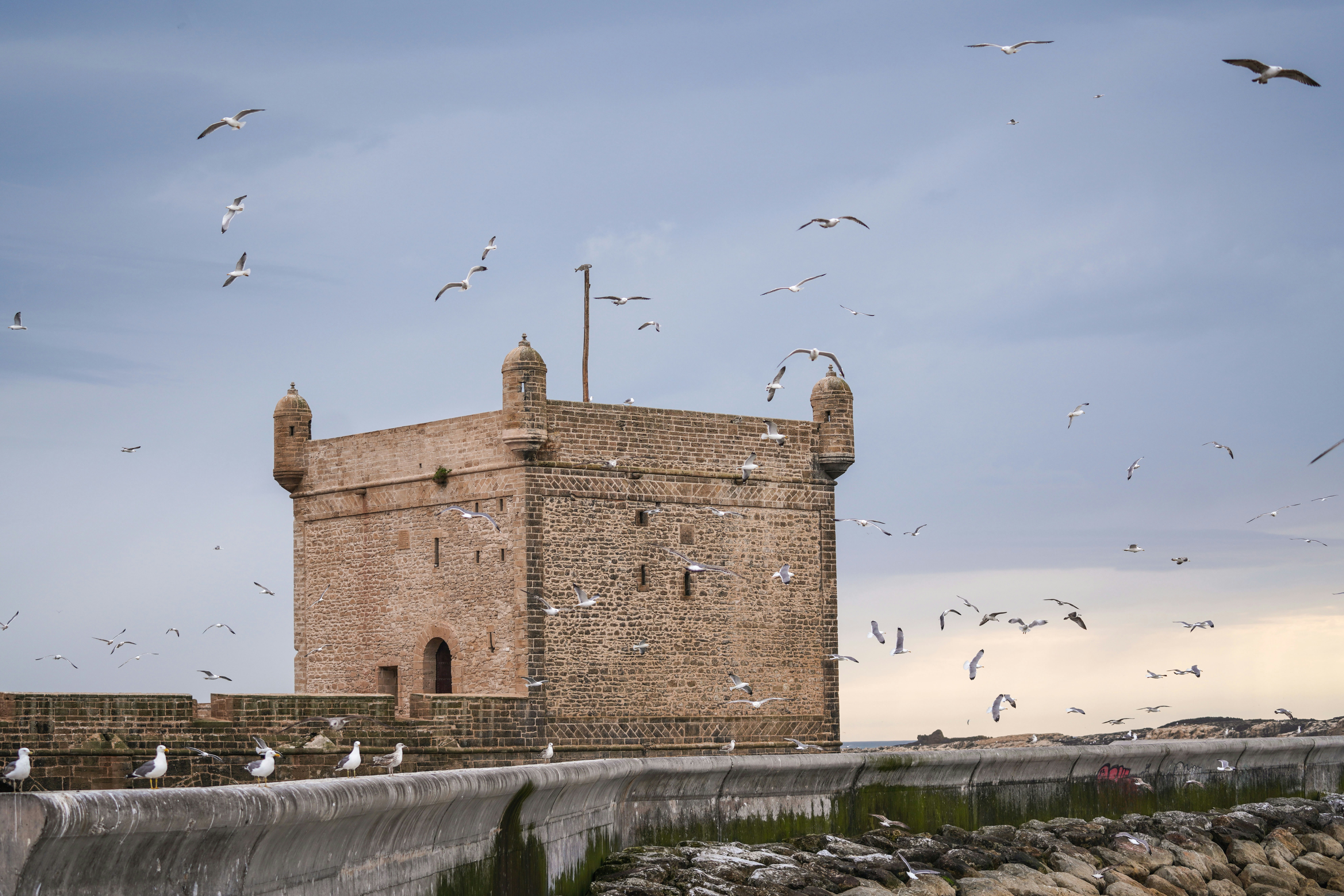 a flock of birds flying over a brick building