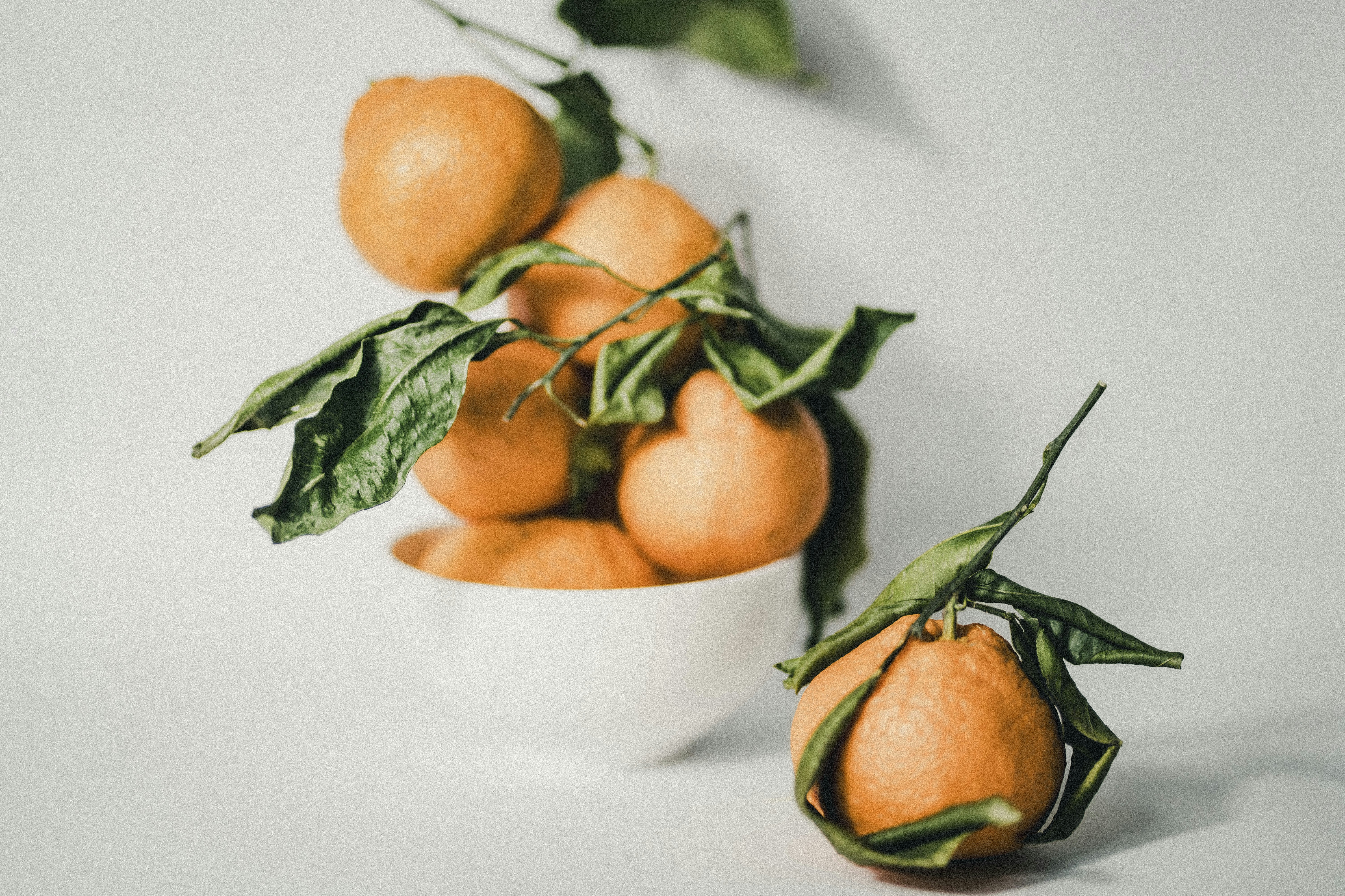 Photo by jpetersbydesign