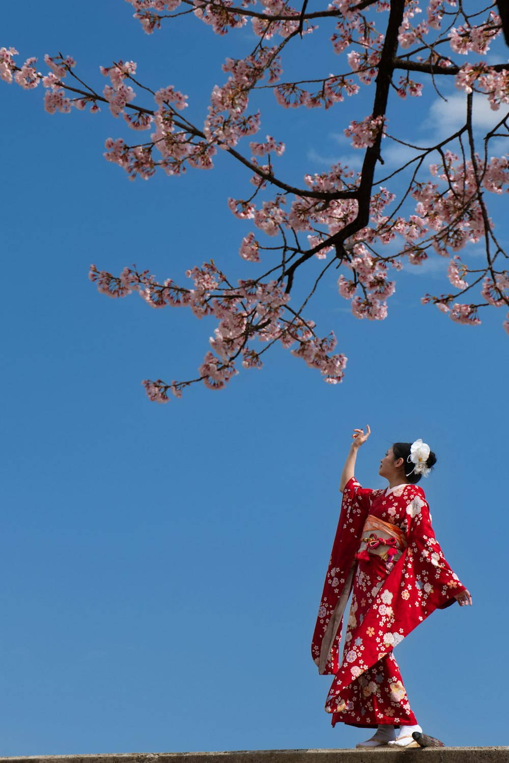 a woman in a red kimono standing under a tree with pink flowers