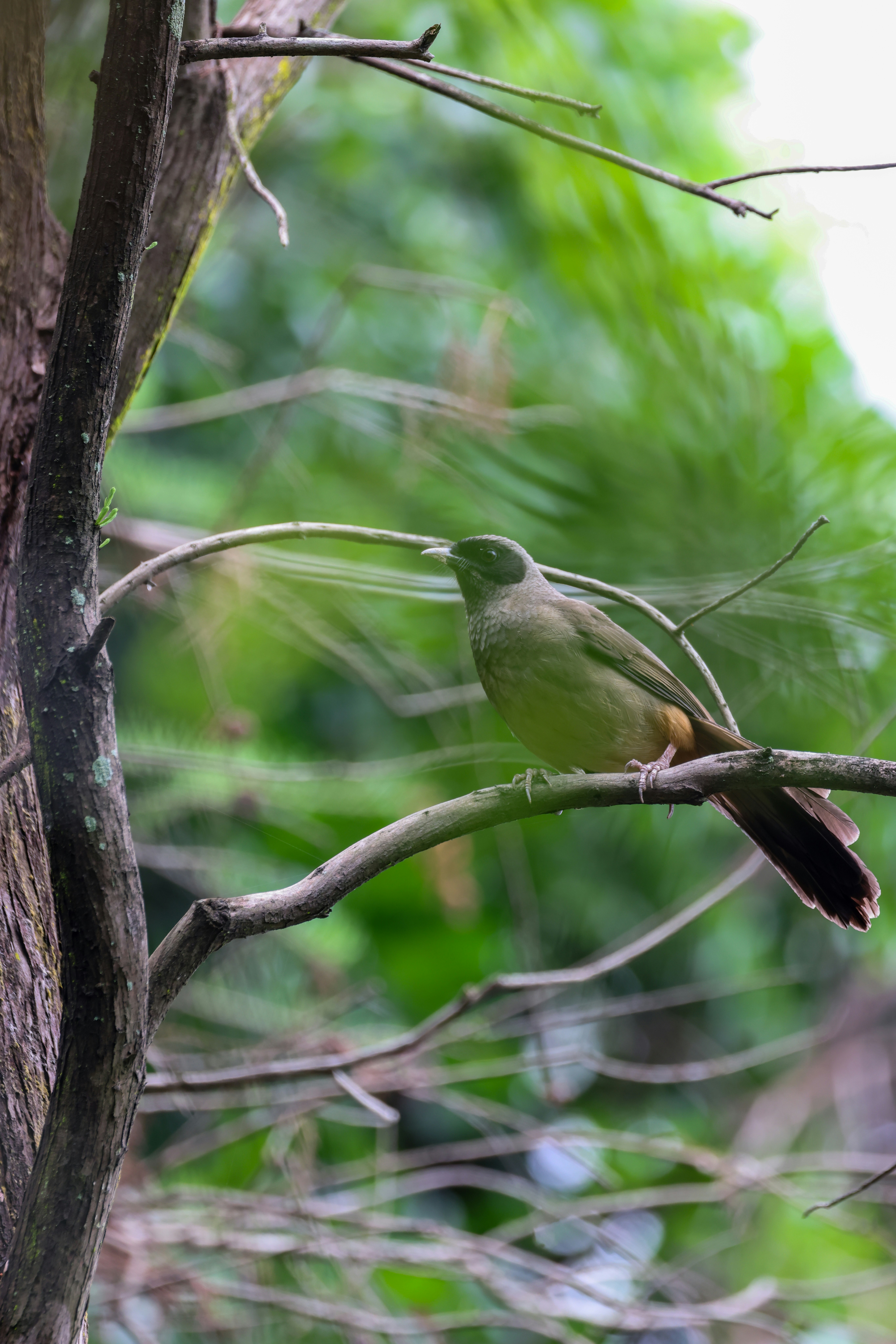 Photo by dickenslin76