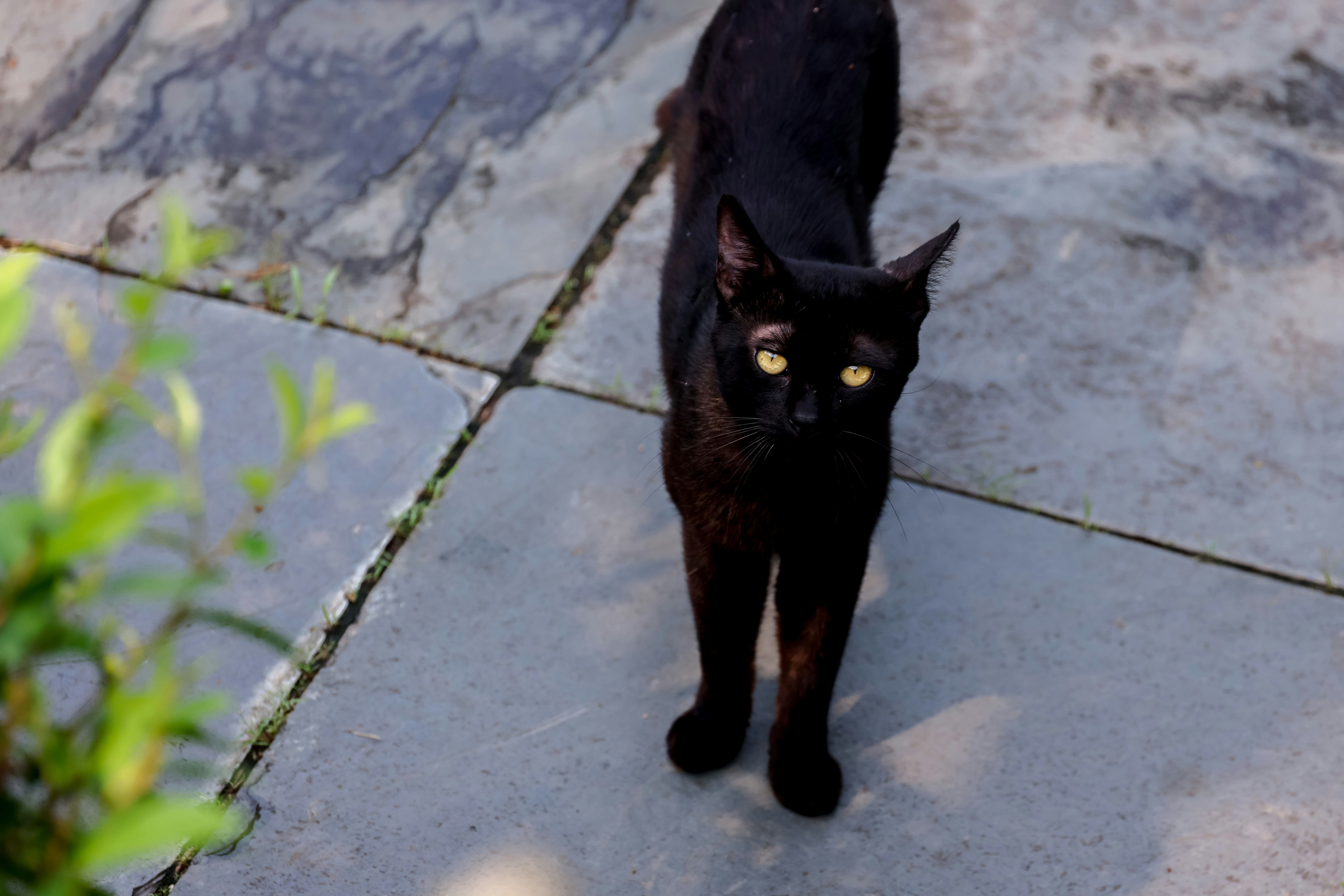 Photo by dickenslin76