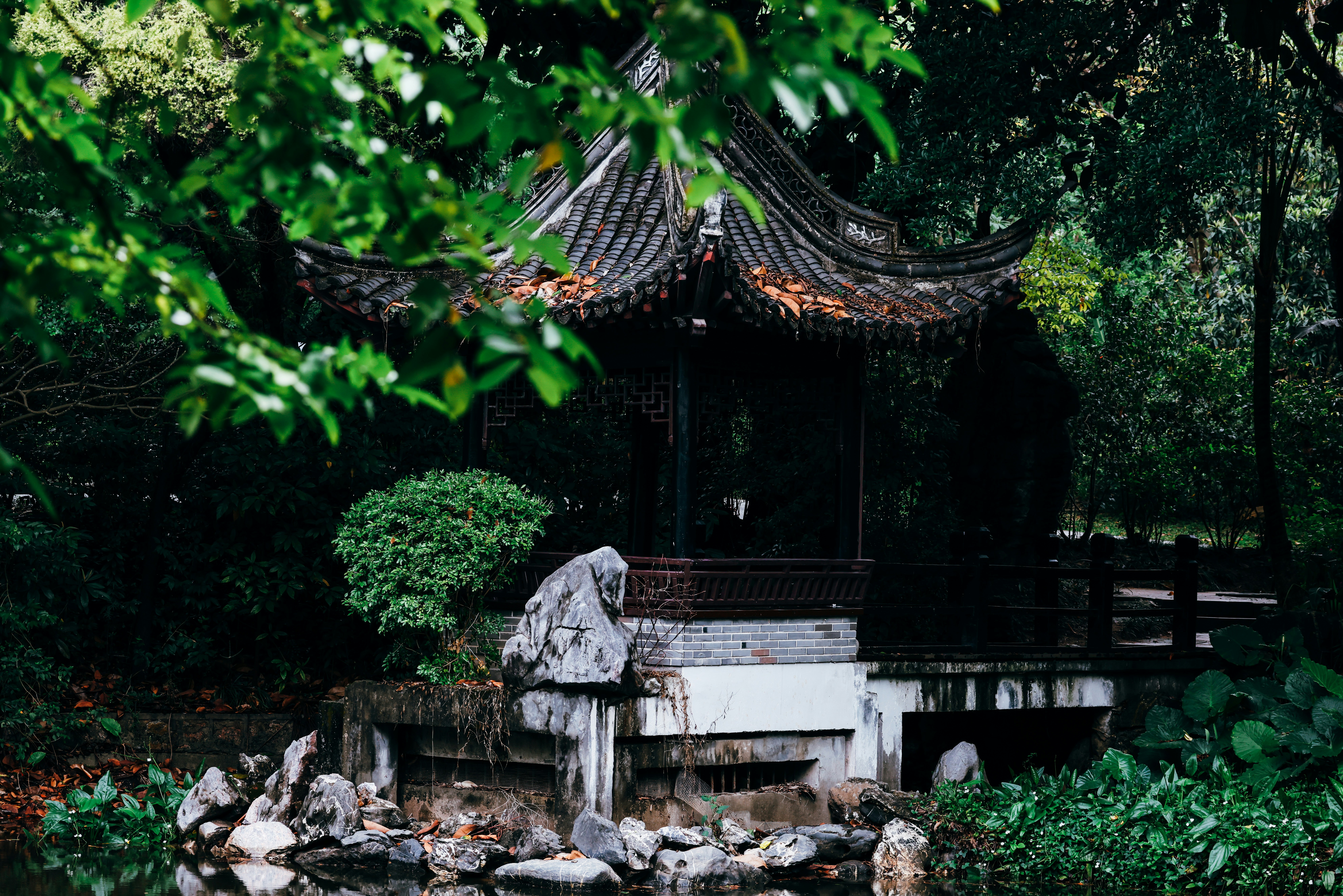 Photo by dickenslin76