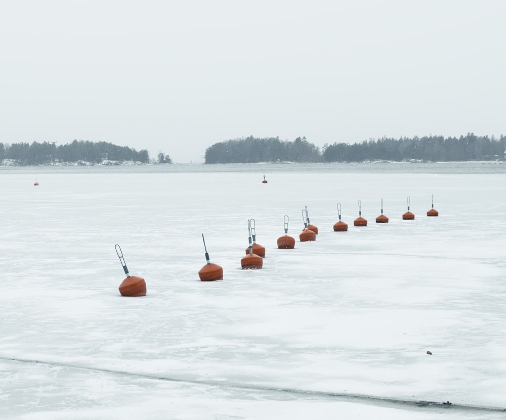 a row of orange buoys sitting on top of a frozen lake