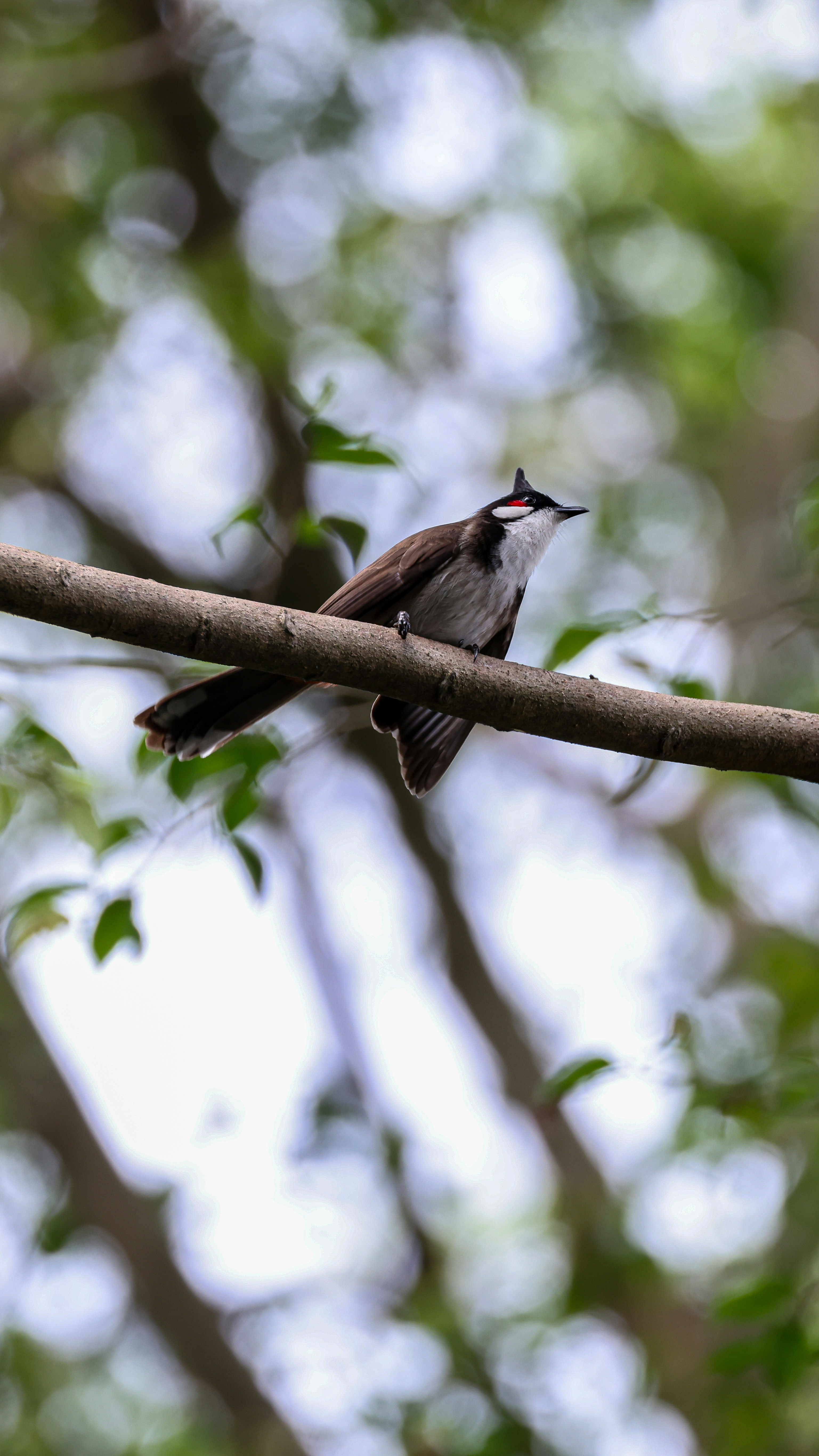 Photo by dickenslin76