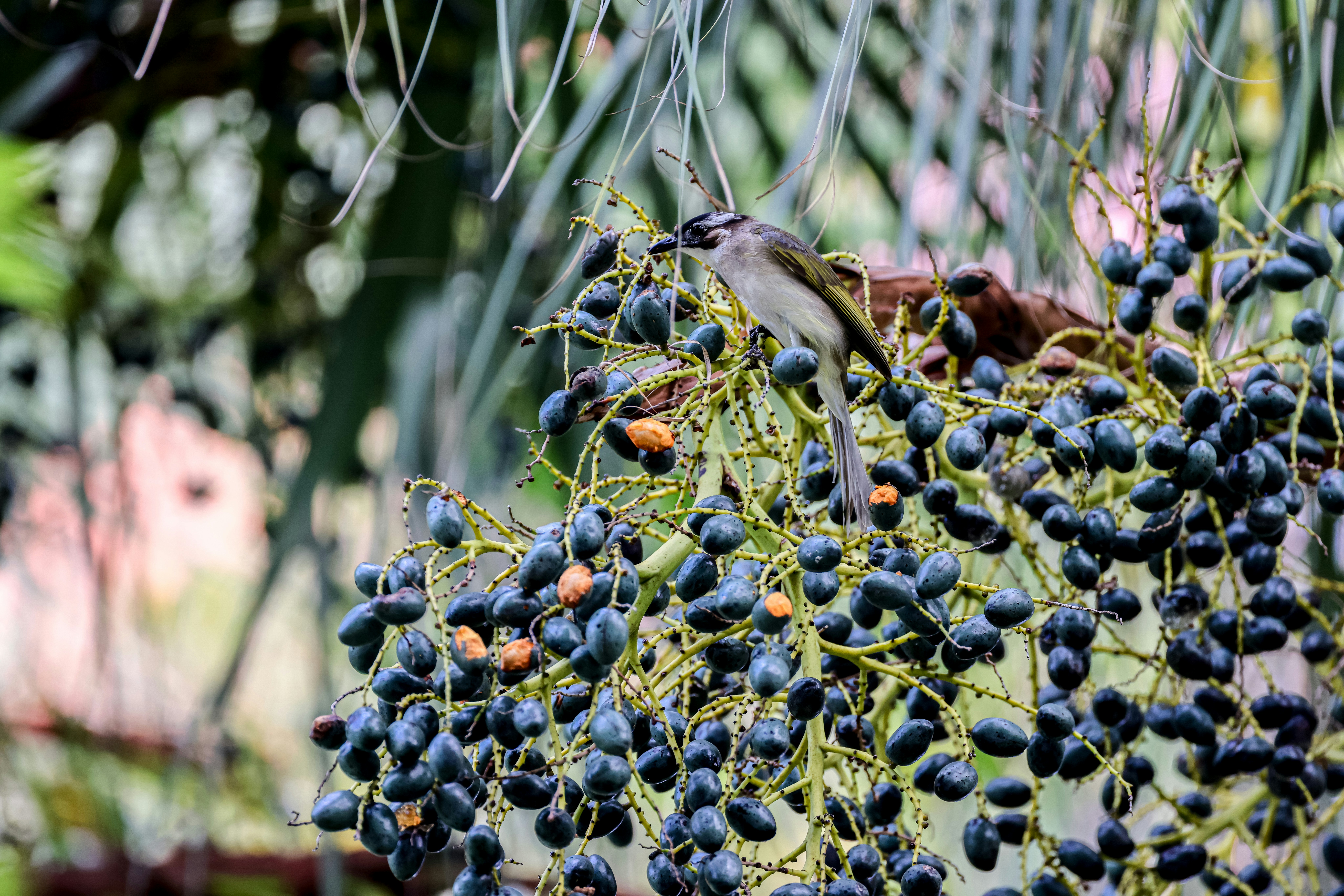 Photo by dickenslin76