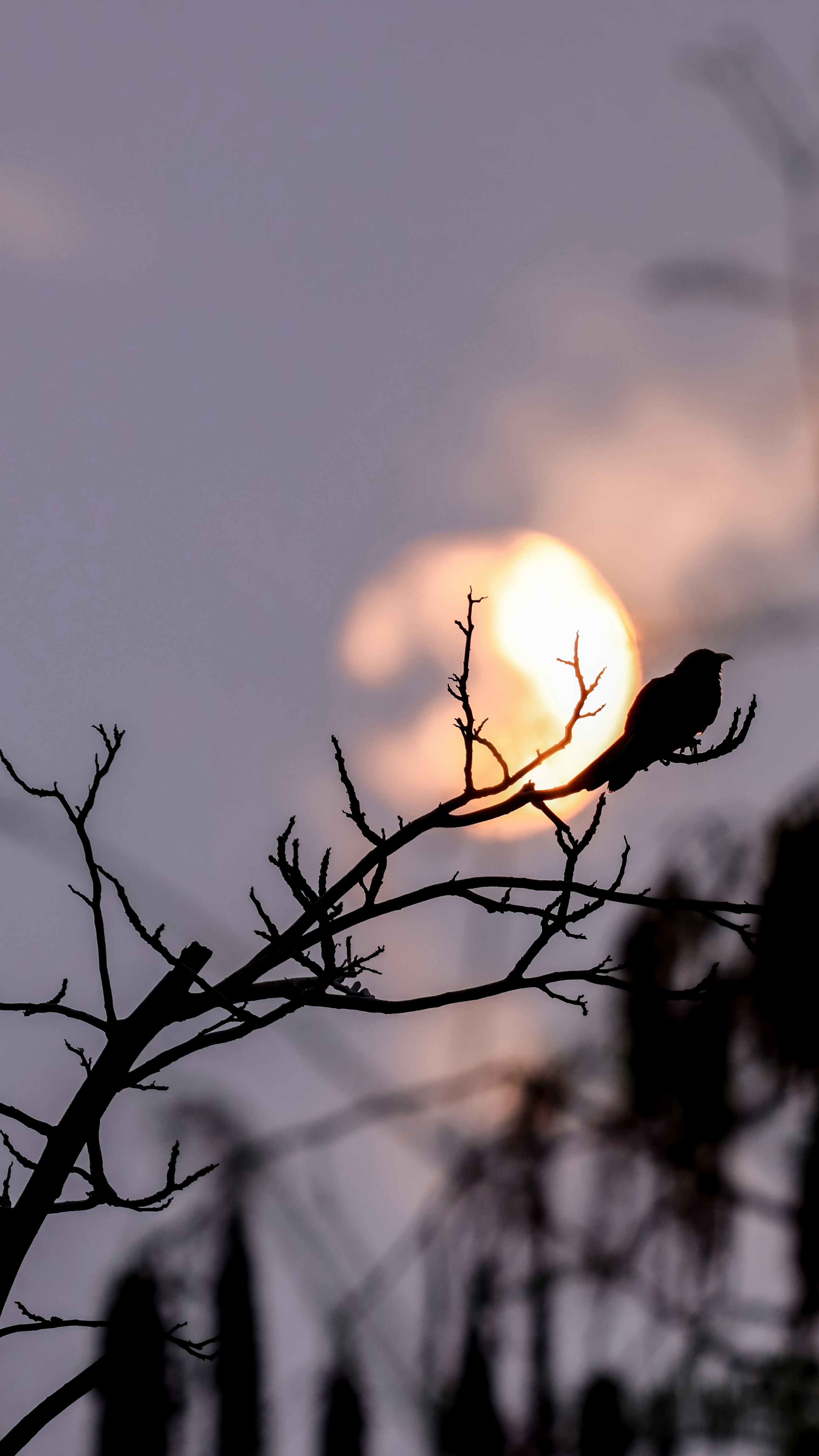 Photo by dickenslin76