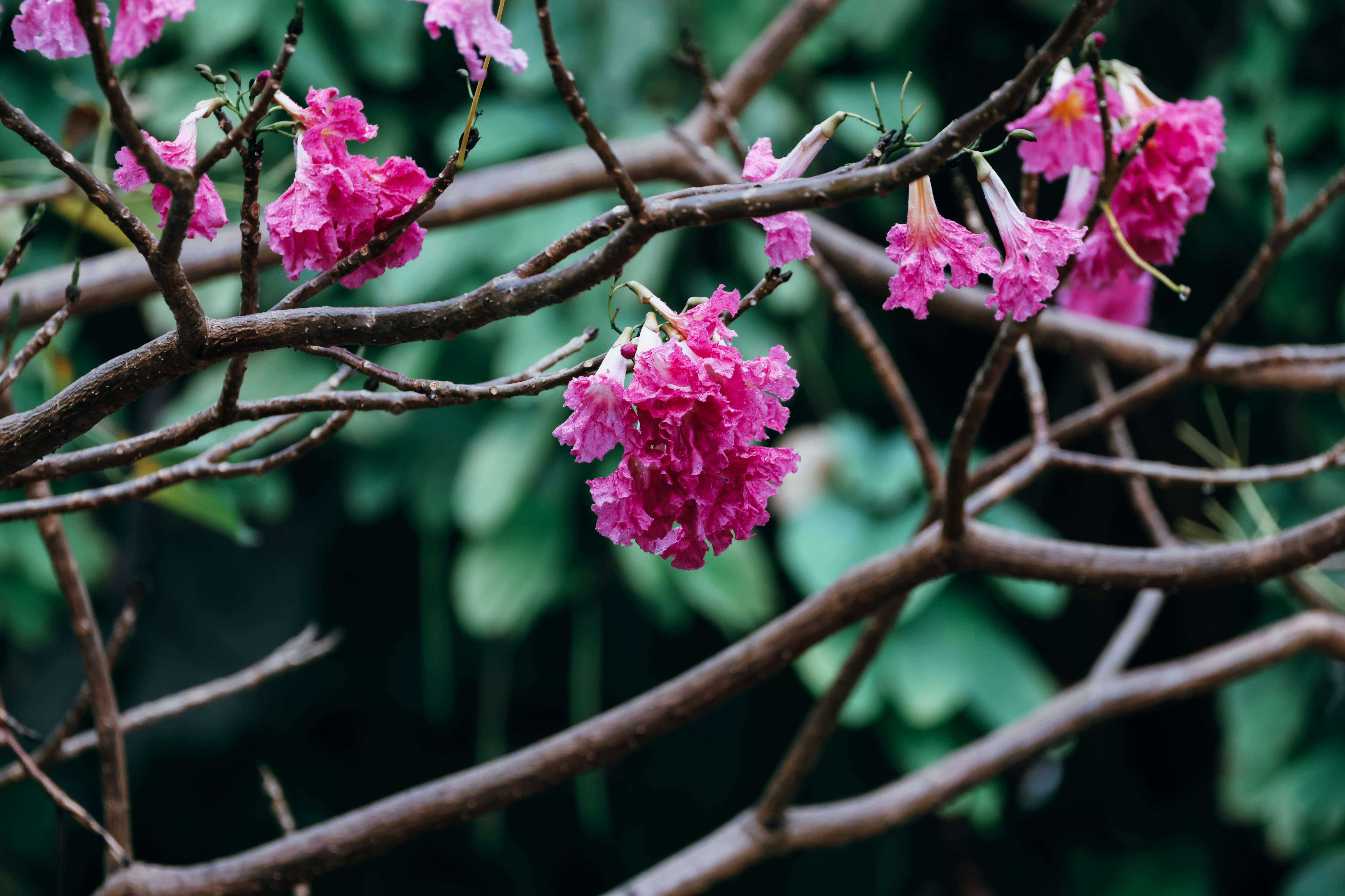 Photo by dickenslin76