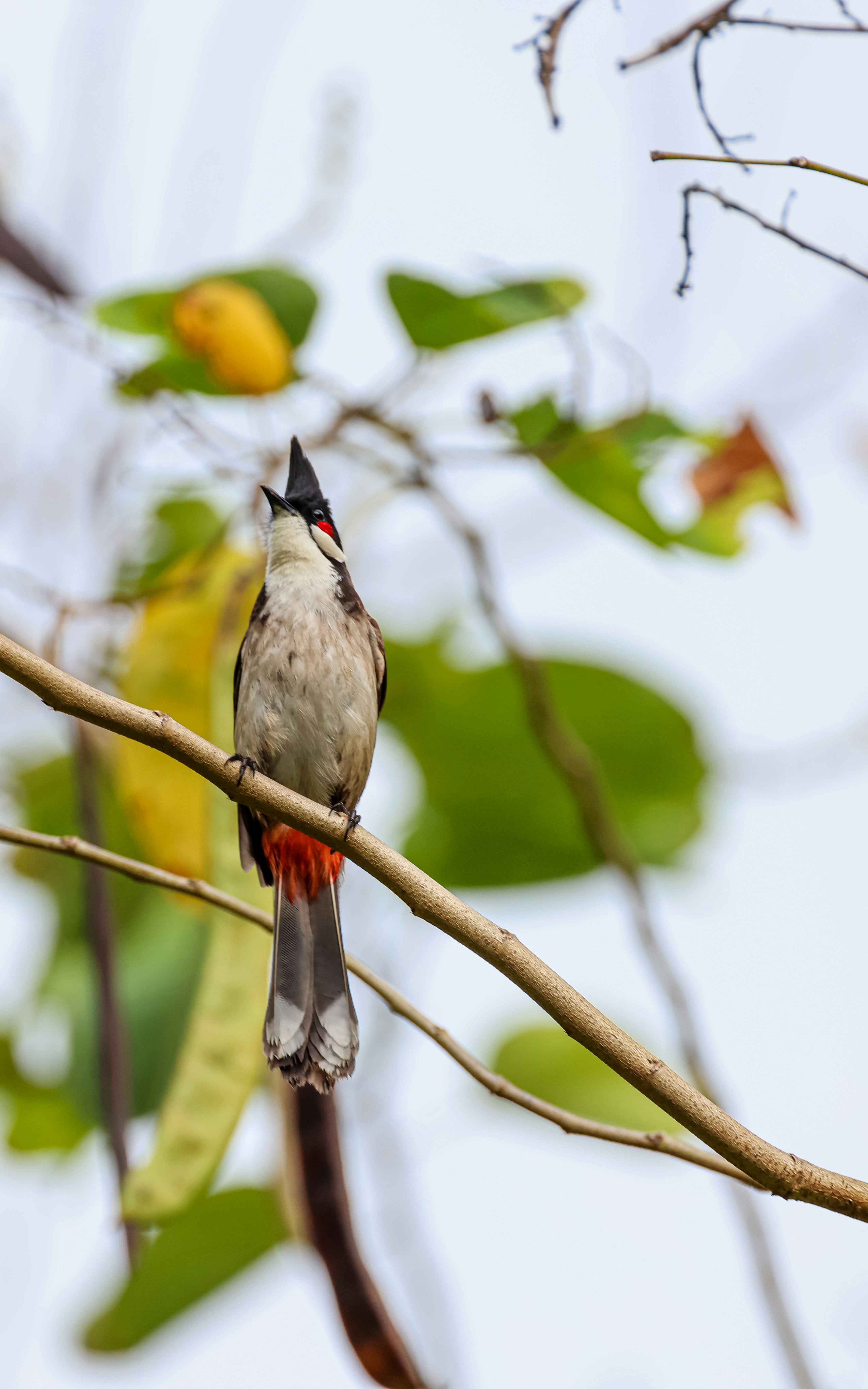 Photo by dickenslin76