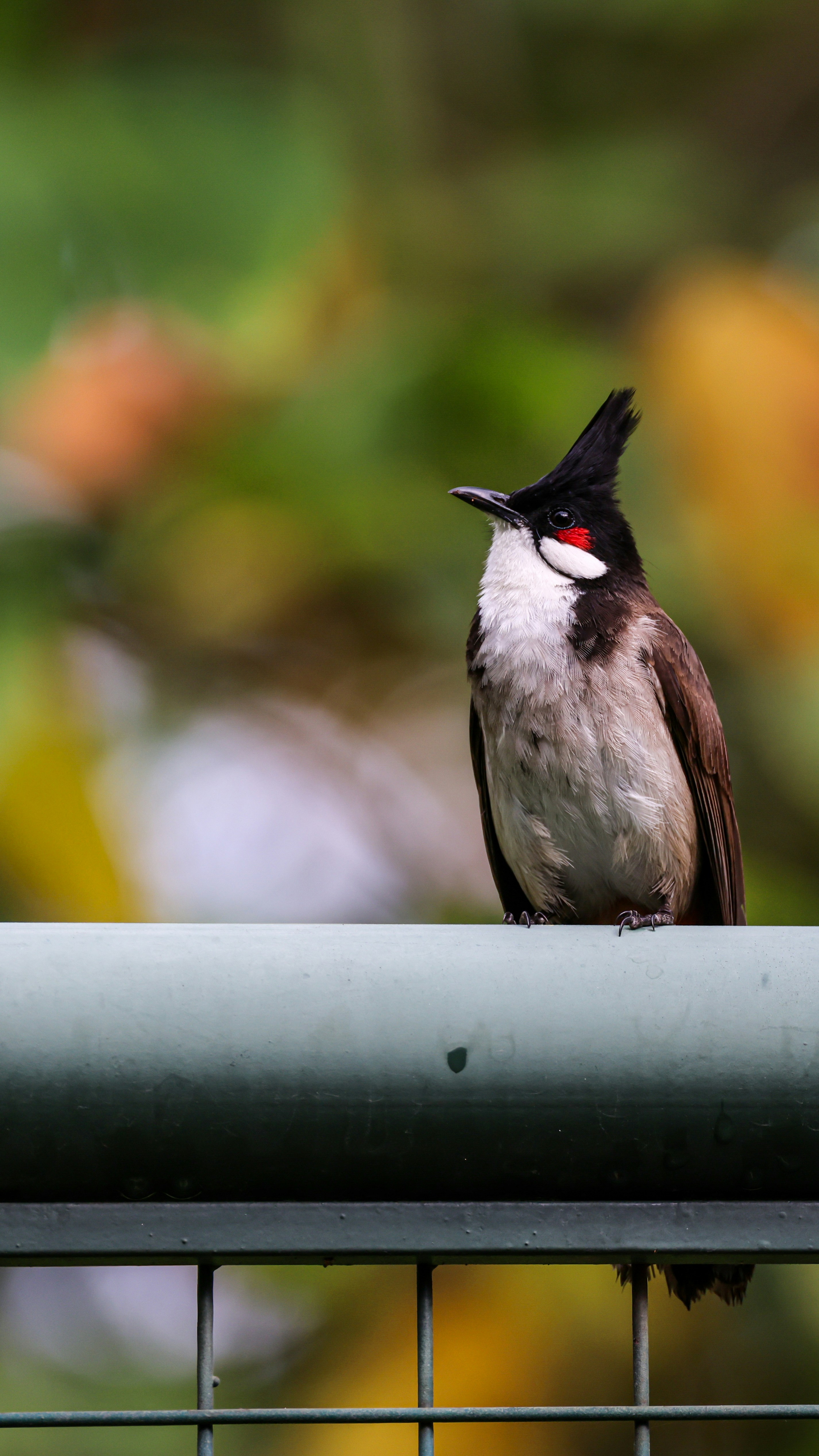 Photo by dickenslin76