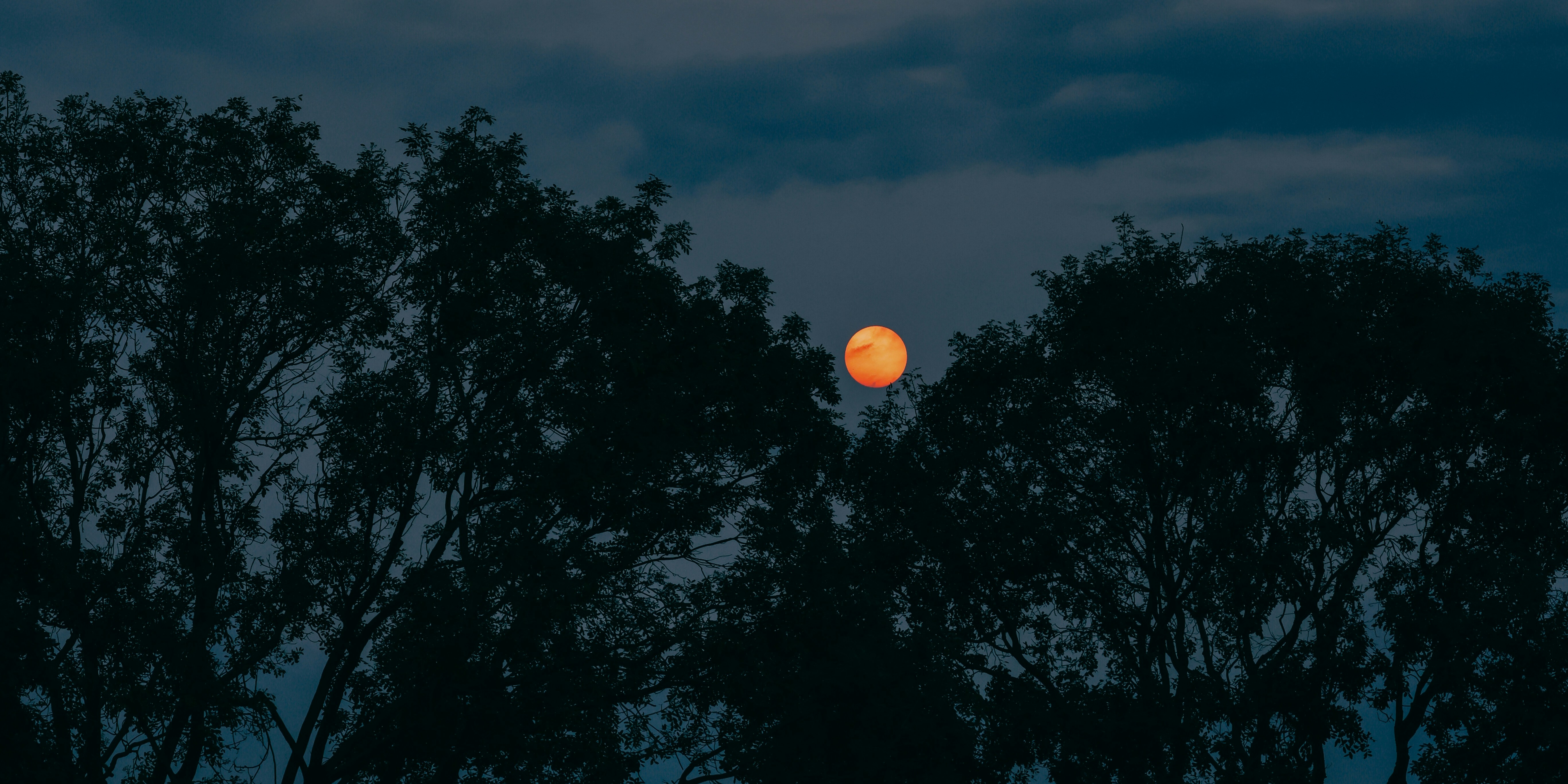 Photo by dickenslin76