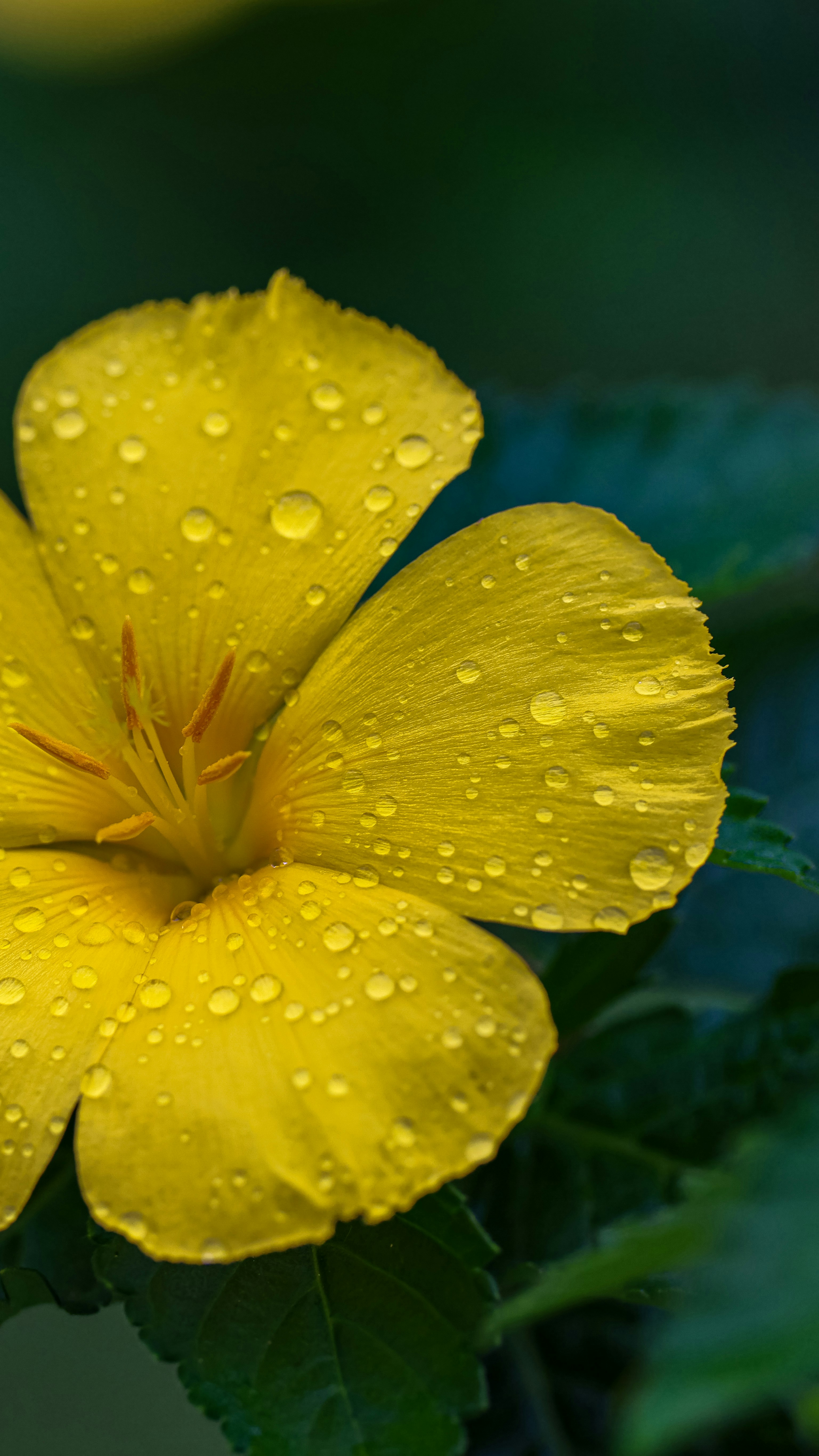 Photo by dickenslin76