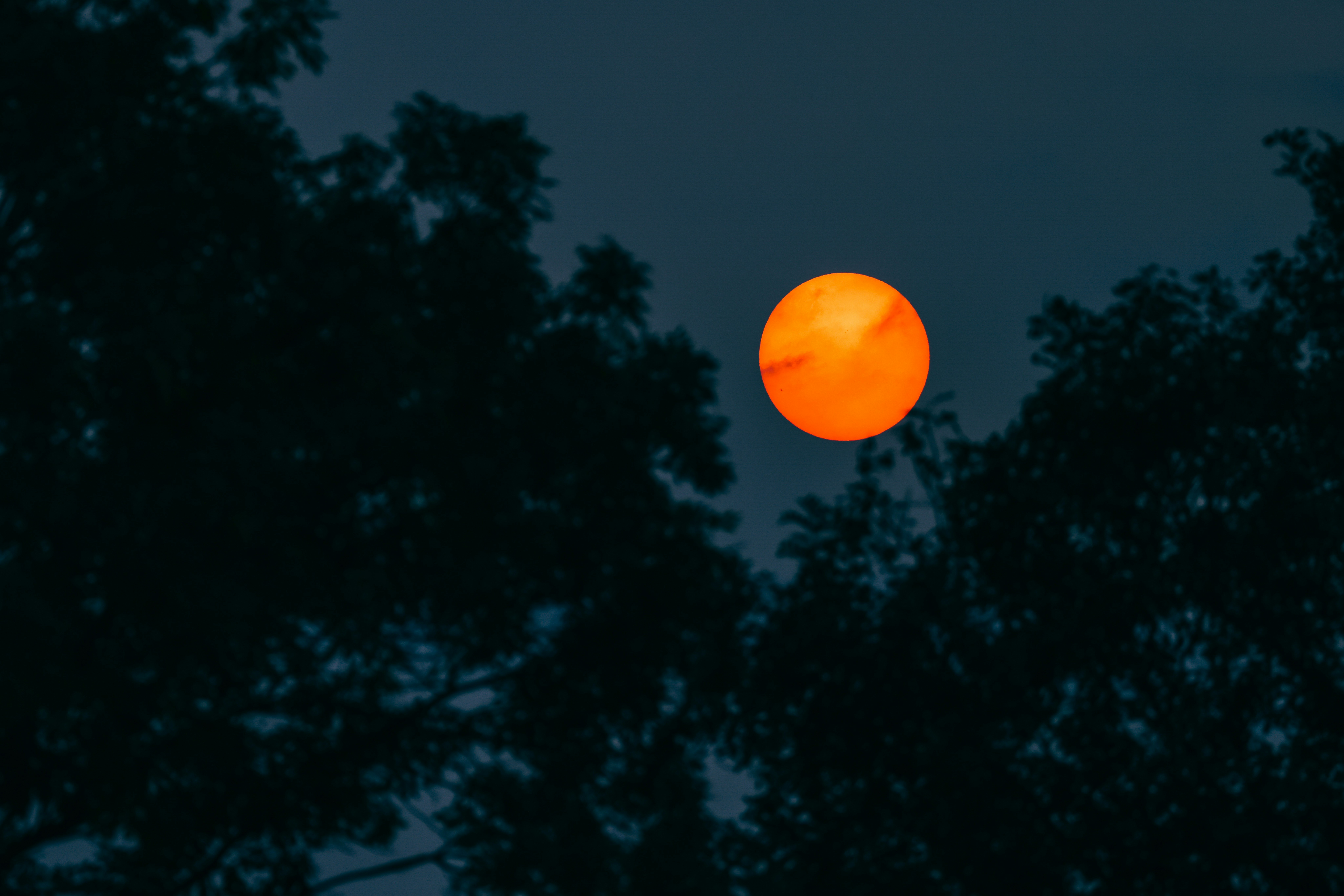 Photo by dickenslin76