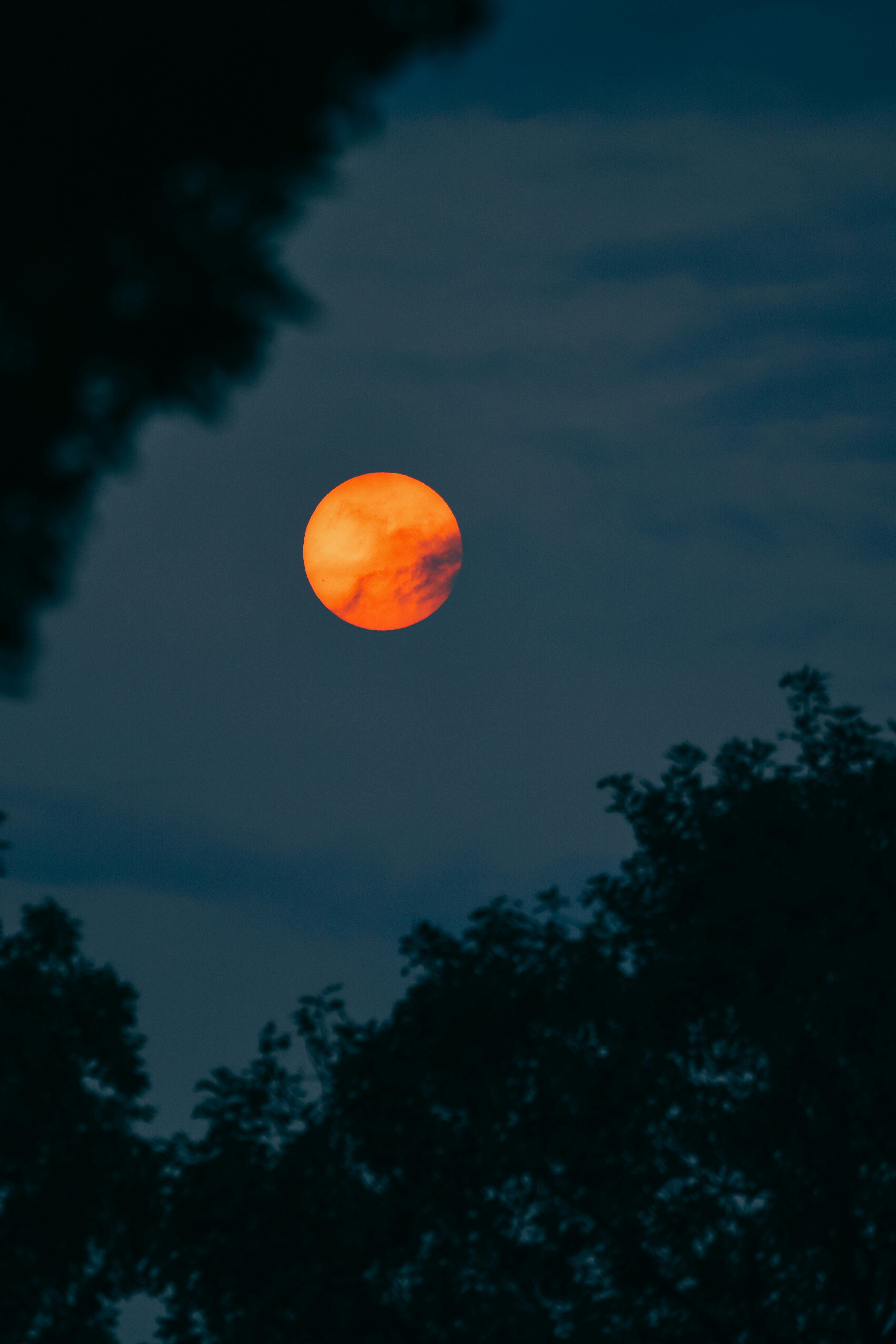 Photo by dickenslin76