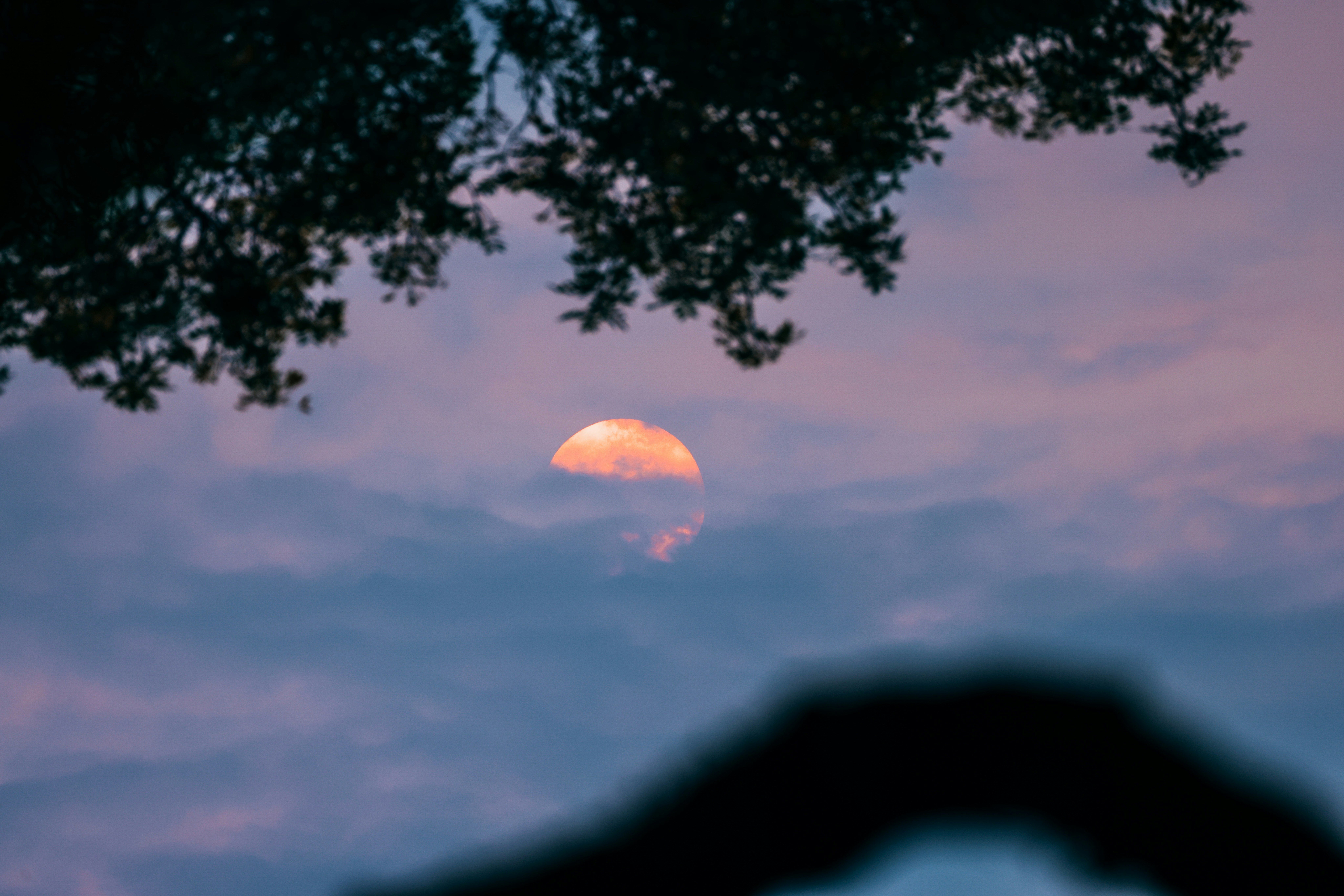 Photo by dickenslin76