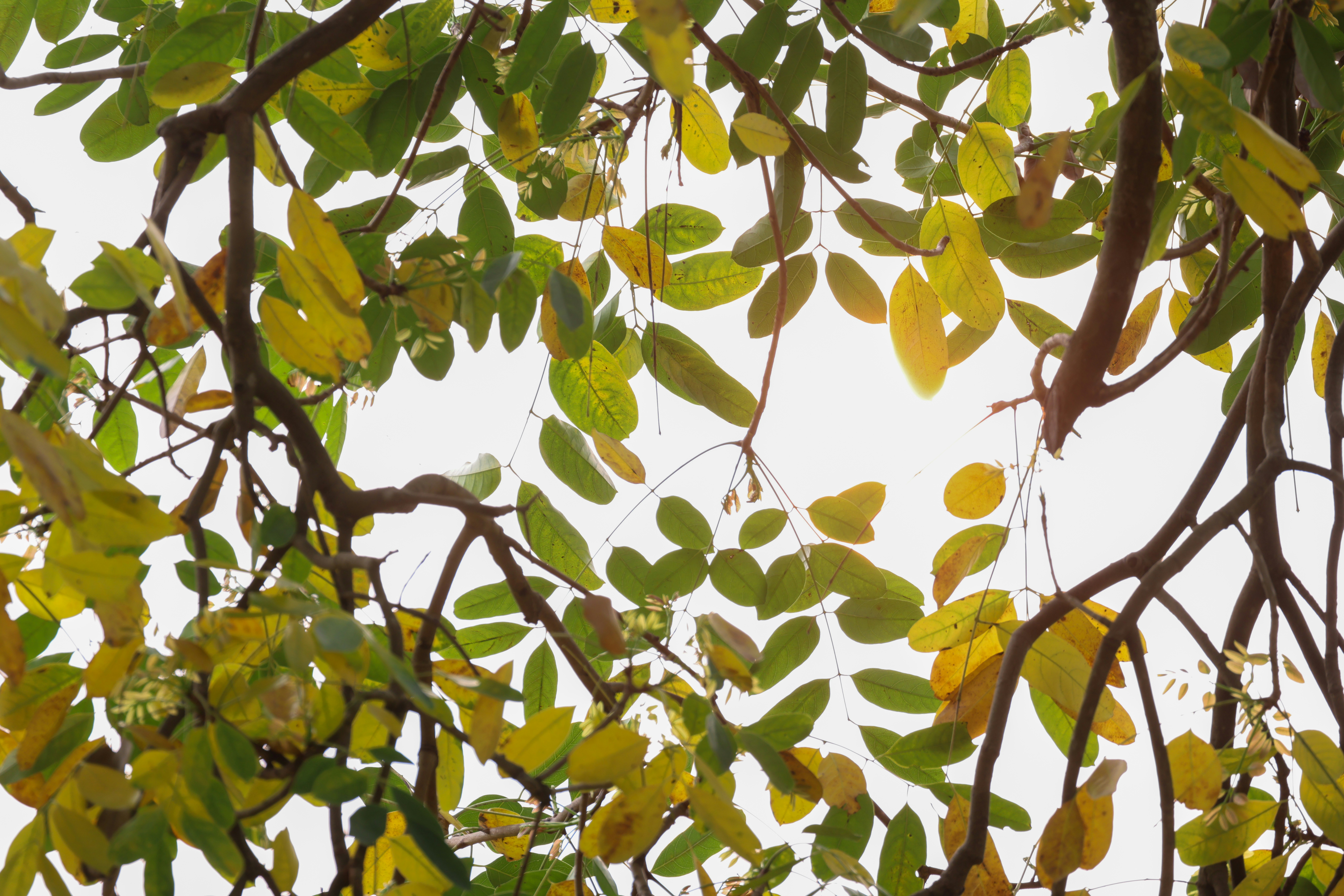 Photo by dickenslin76