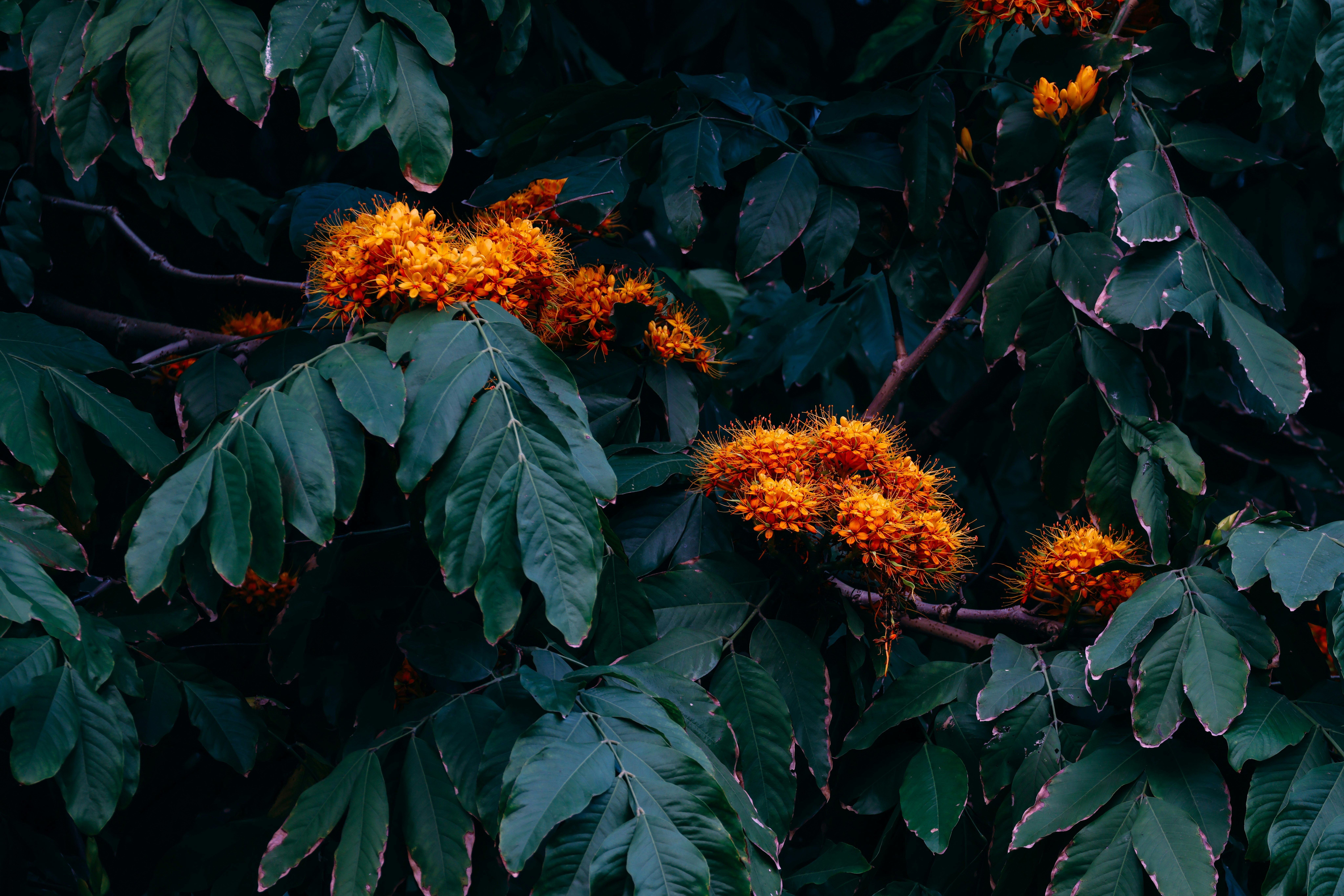 Photo by dickenslin76