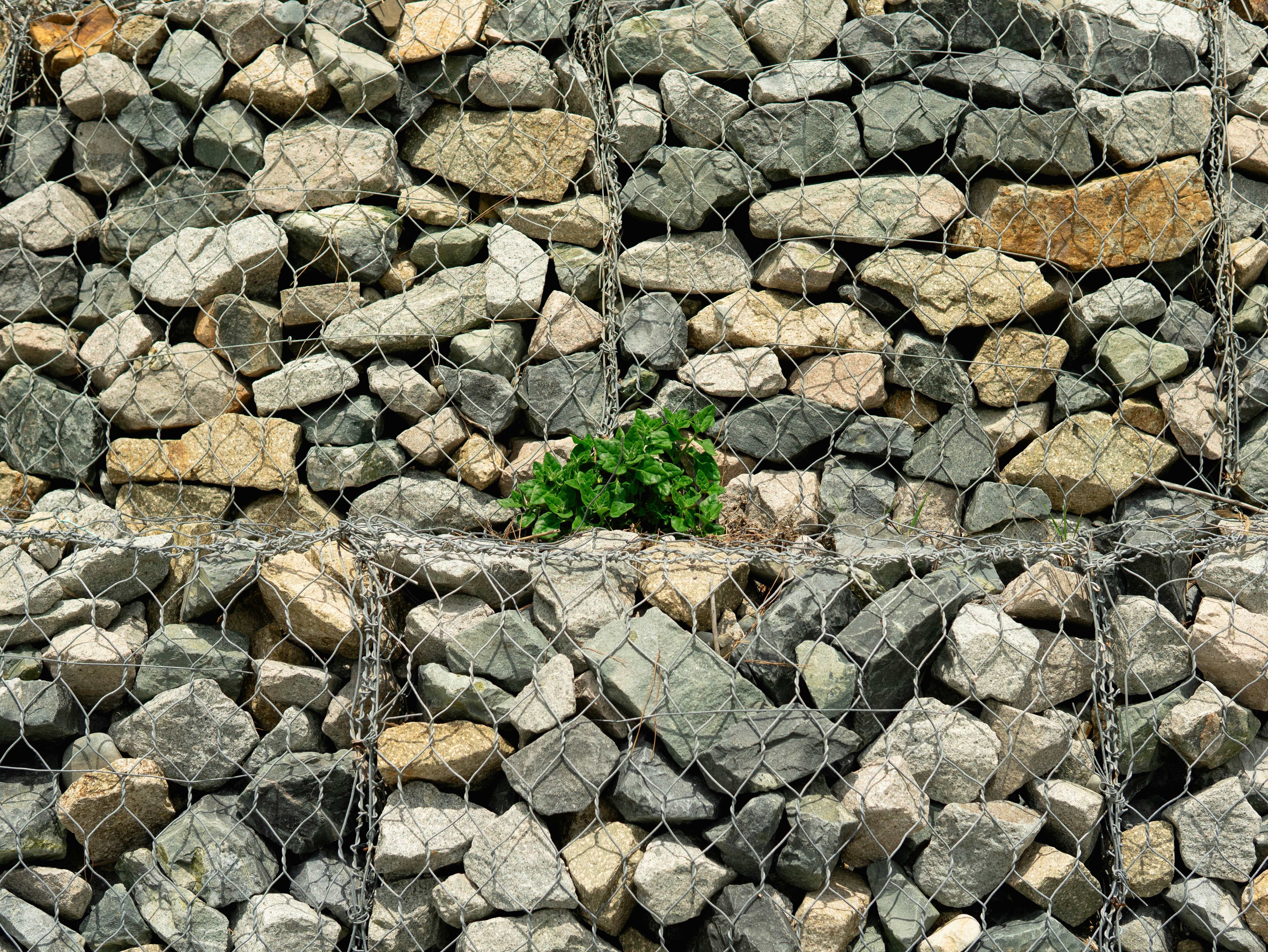 A bunch of rocks that are next to a fence photo – Free 대한민국 부산 사하구 몰운대1 ...
