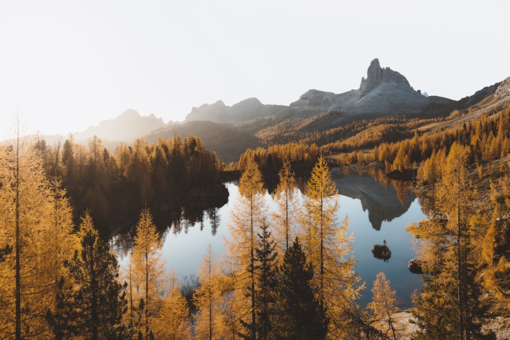 a lake surrounded by trees in the mountains