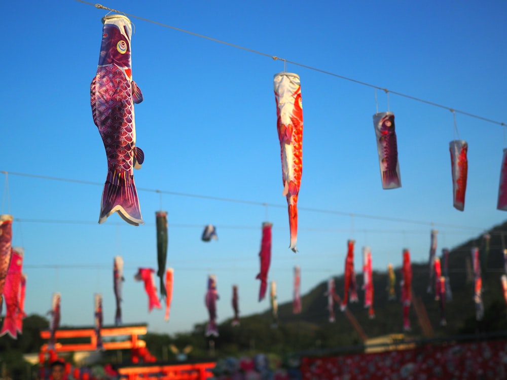 a group of fish hanging from a line