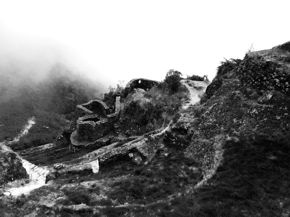 a black and white photo of a path on a mountain