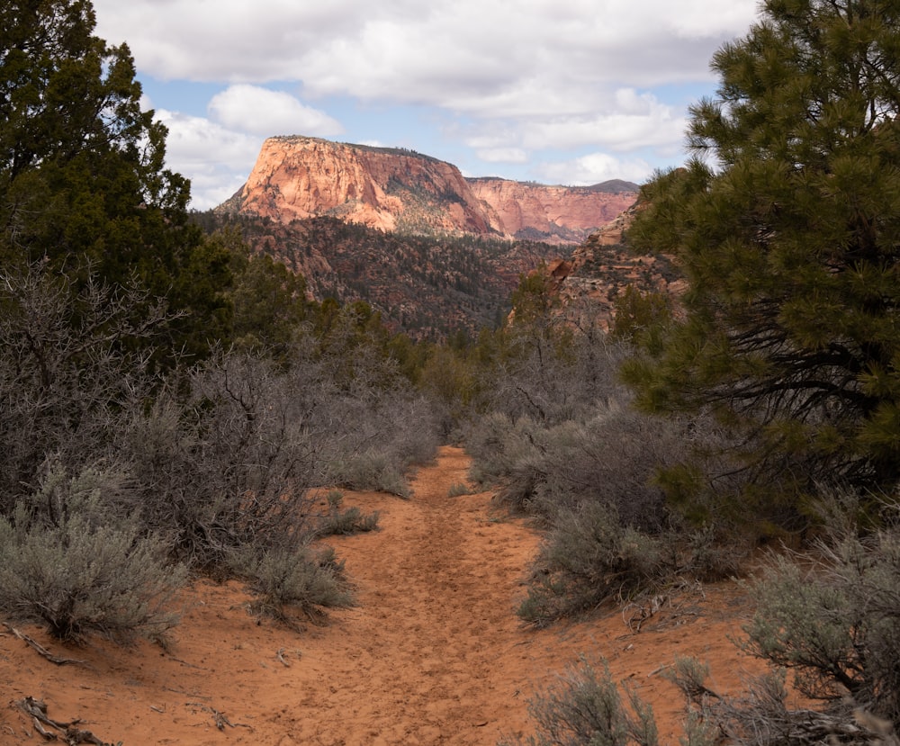 a dirt path with trees and mountains in the background