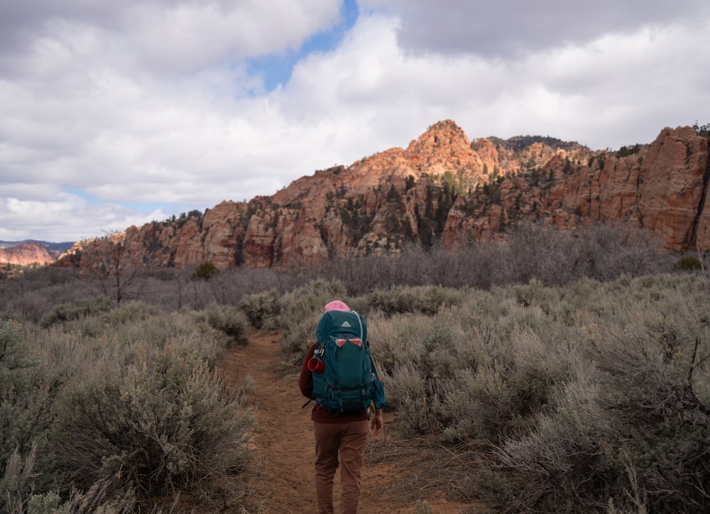 a person with a backpack walking on a trail