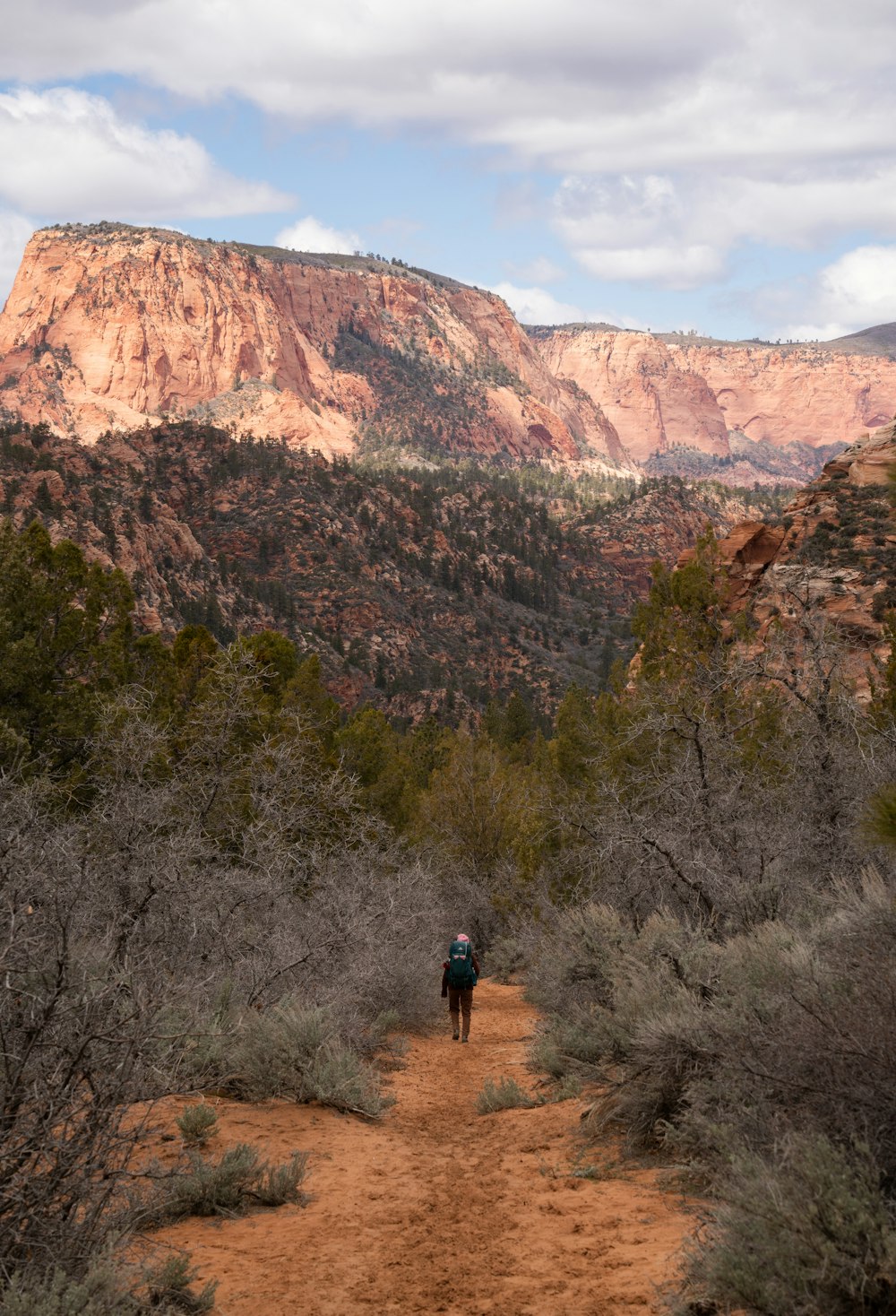 a person walking down a trail in the mountains